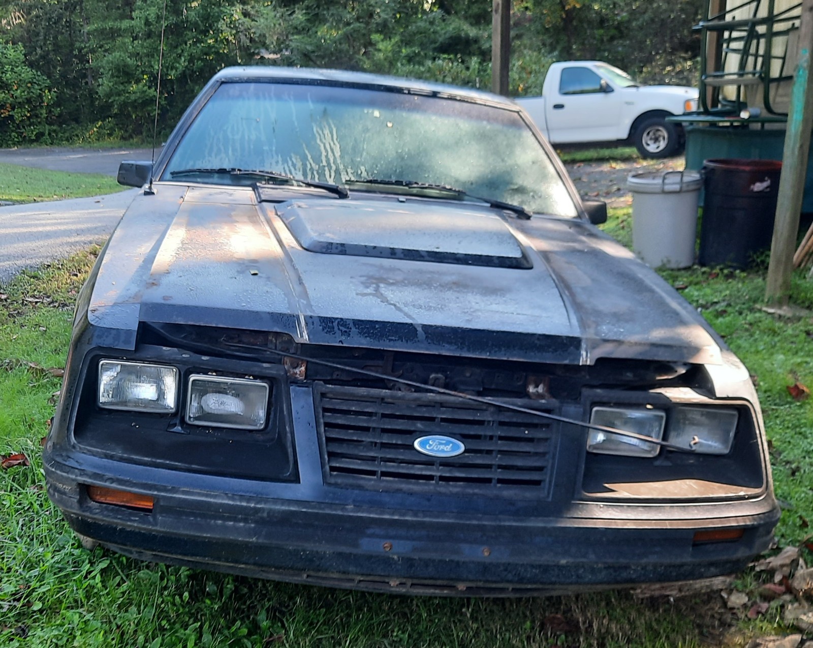 Ford-Mustang-1983-Hatchback-1