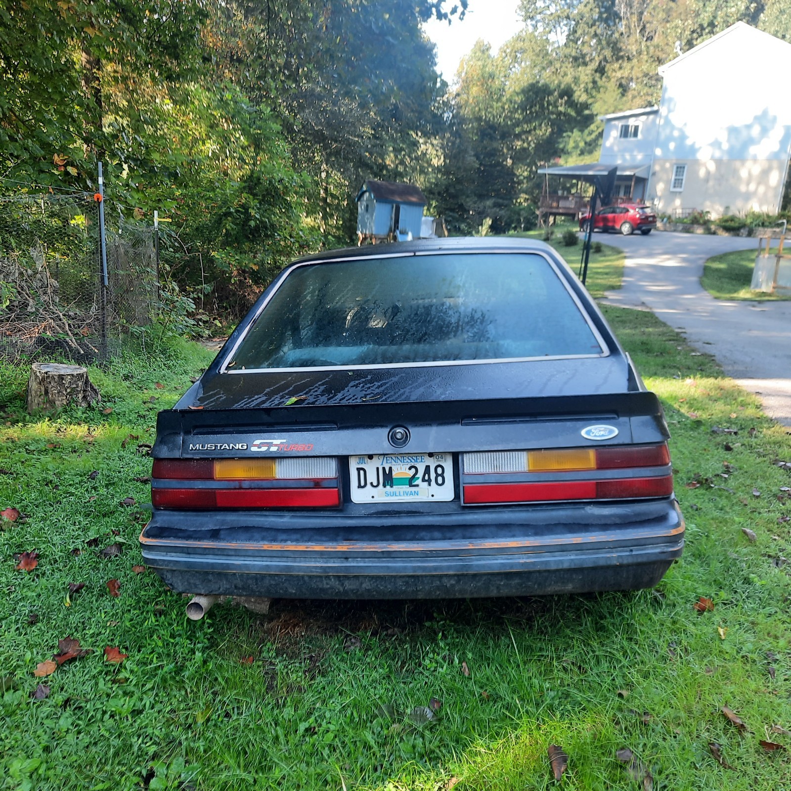 Ford-Mustang-1983-Hatchback-5