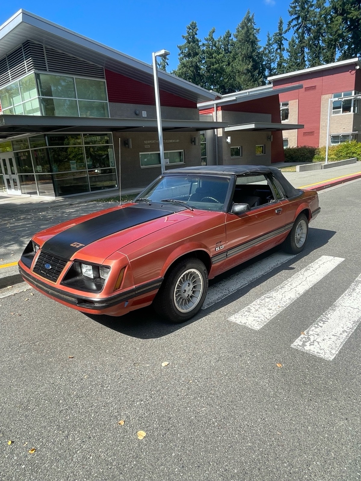 Ford Mustang 1984