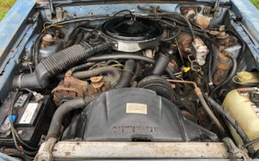 Ford-Mustang-1985-Convertible-18