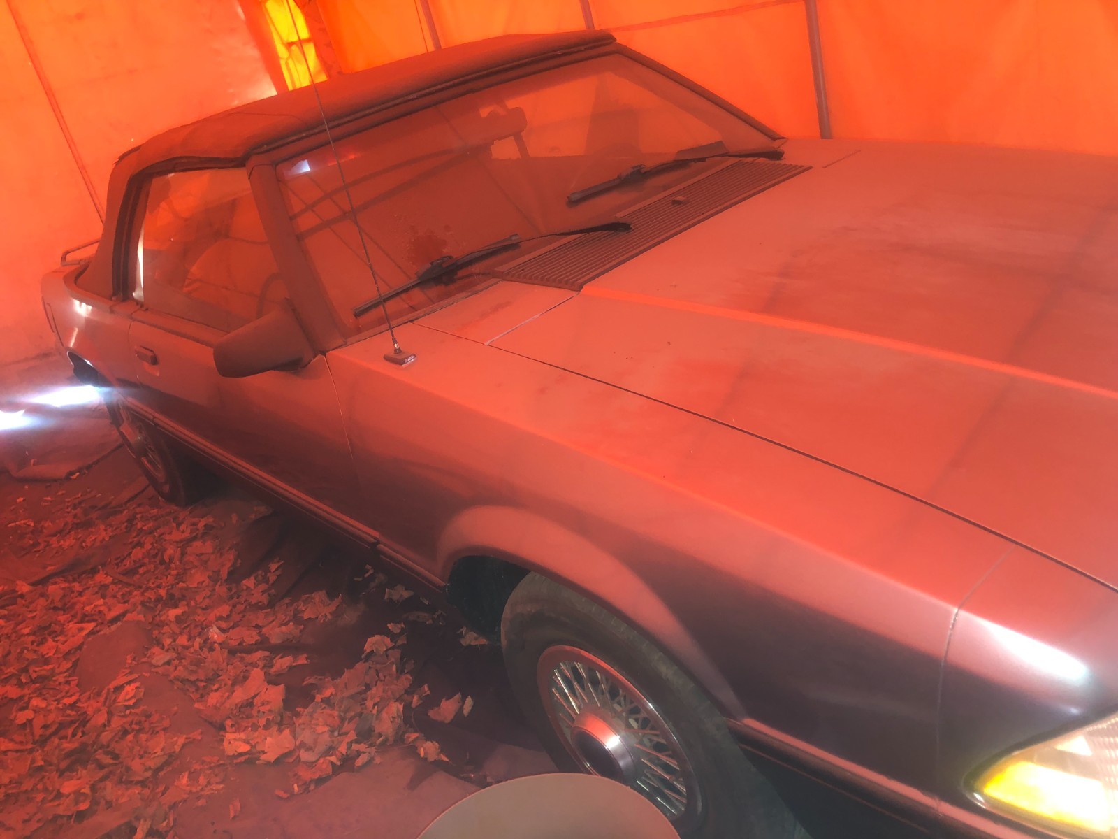 Ford-Mustang-1987-Convertible-5