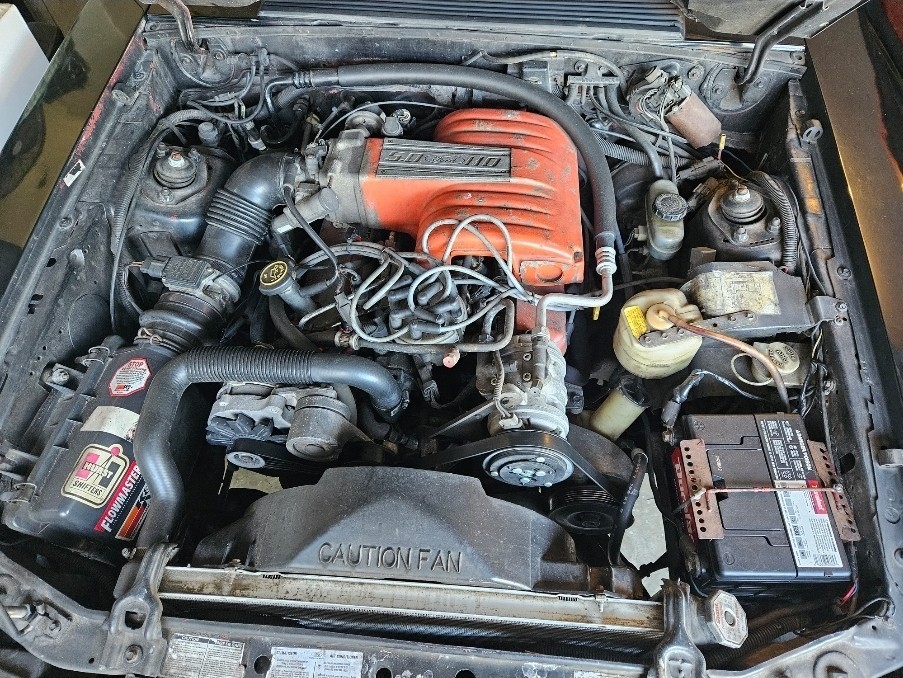 Ford-Mustang-1989-Sedan-16