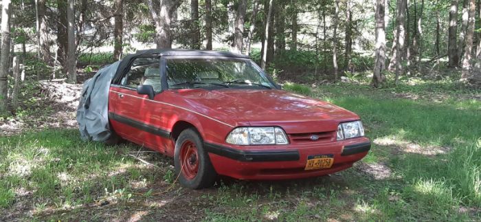 Ford-Mustang-1991-Red-RedWhite-2