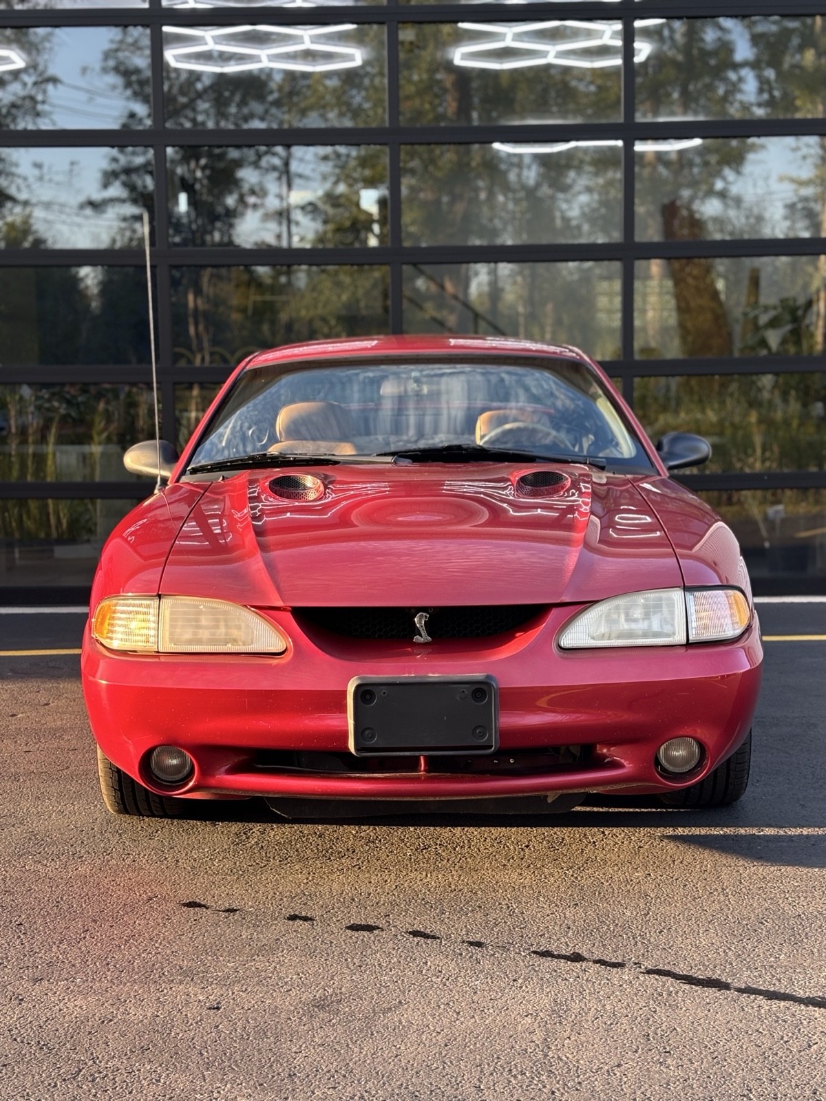 Ford-Mustang-1996-15