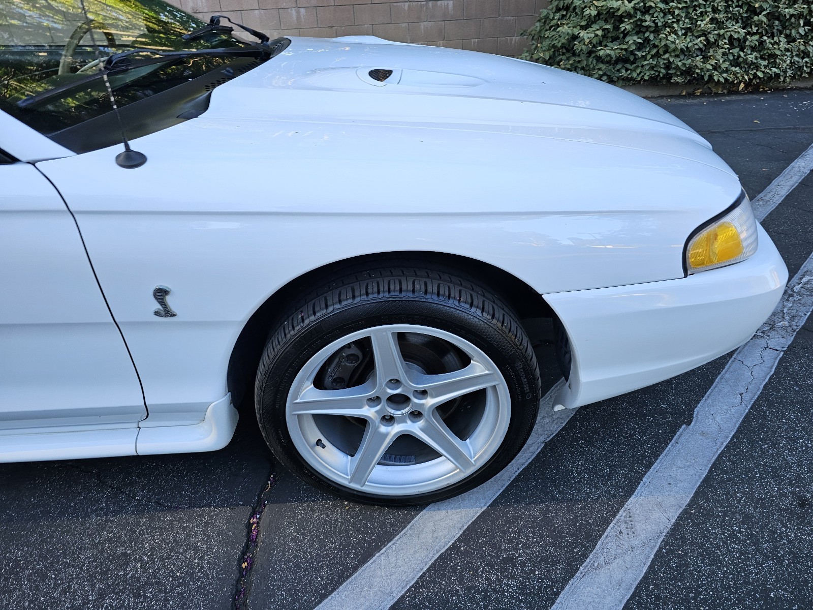 Ford-Mustang-1996-27