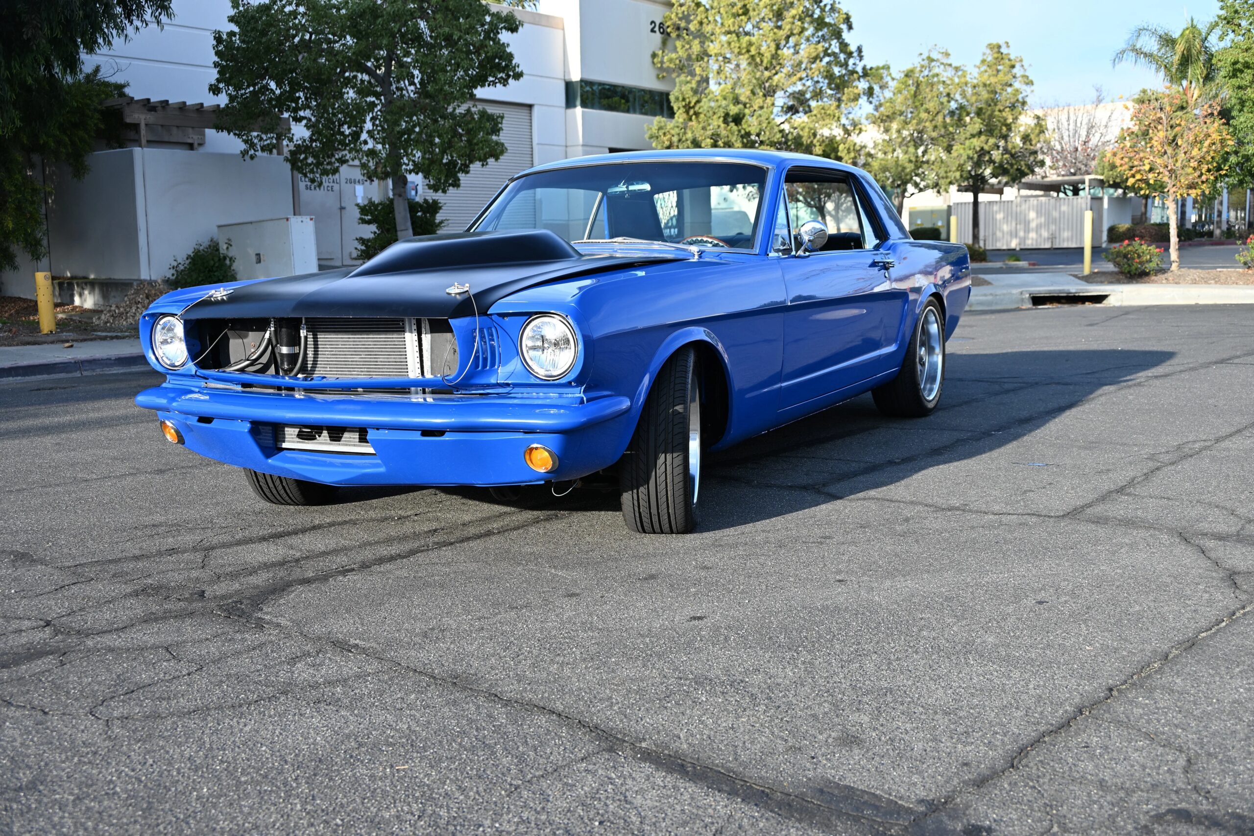 Ford-Mustang-cobra-coupe-1966-Blue-Black-24