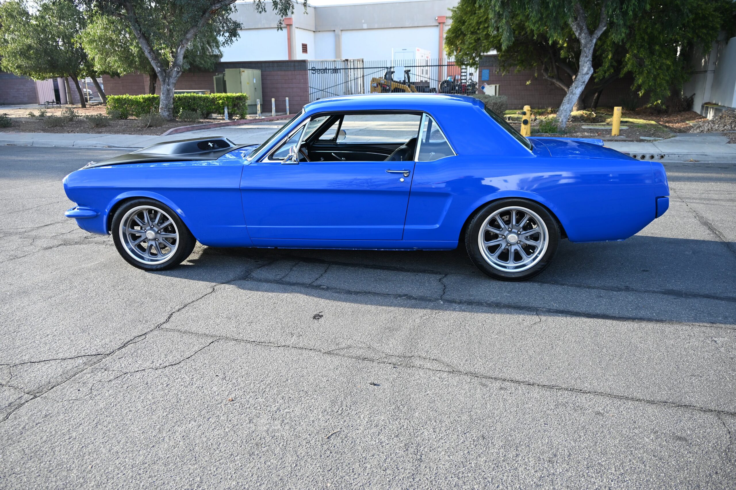 Ford-Mustang-cobra-coupe-1966-Blue-Black-25