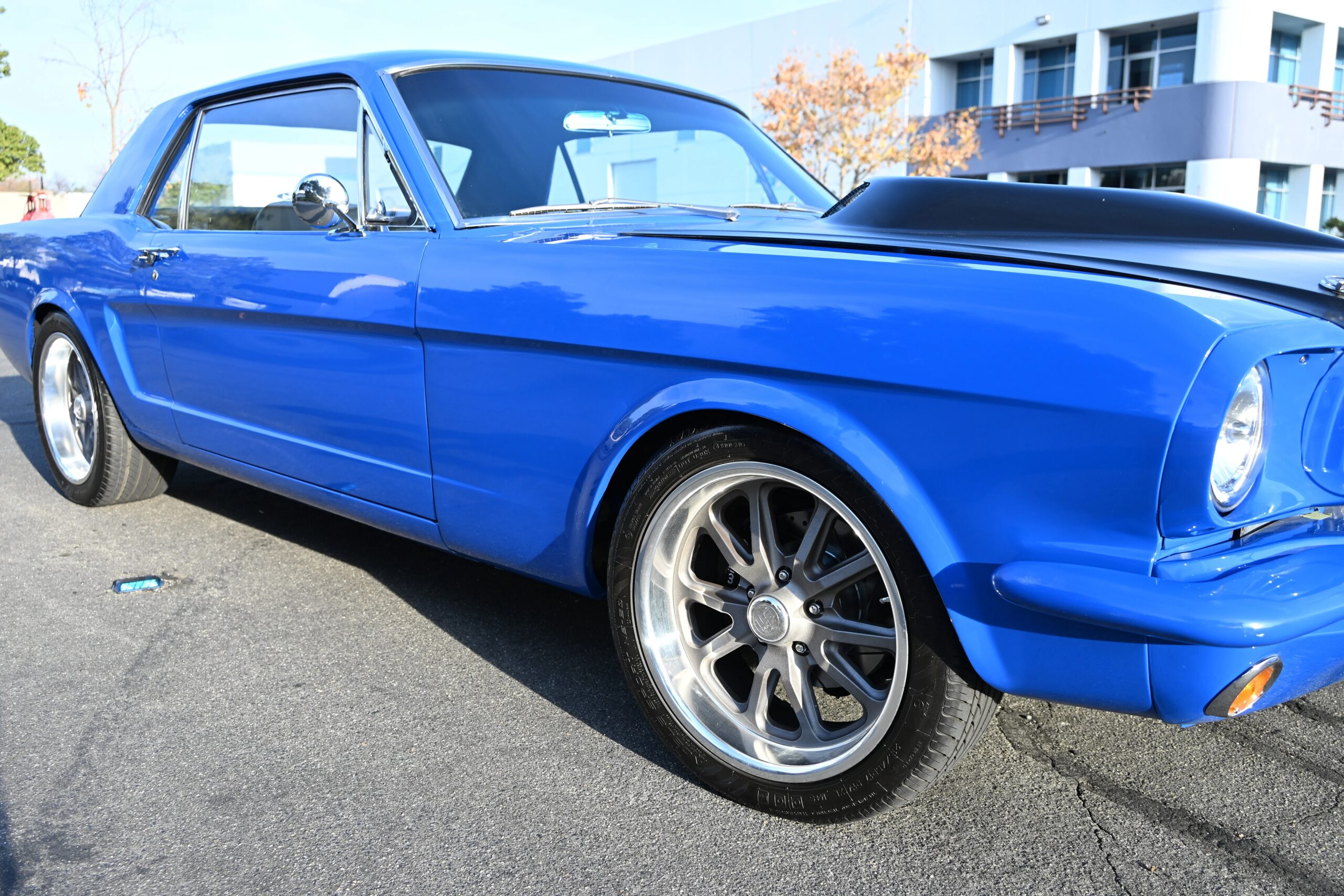 Ford-Mustang-cobra-coupe-1966-Blue-Black-31