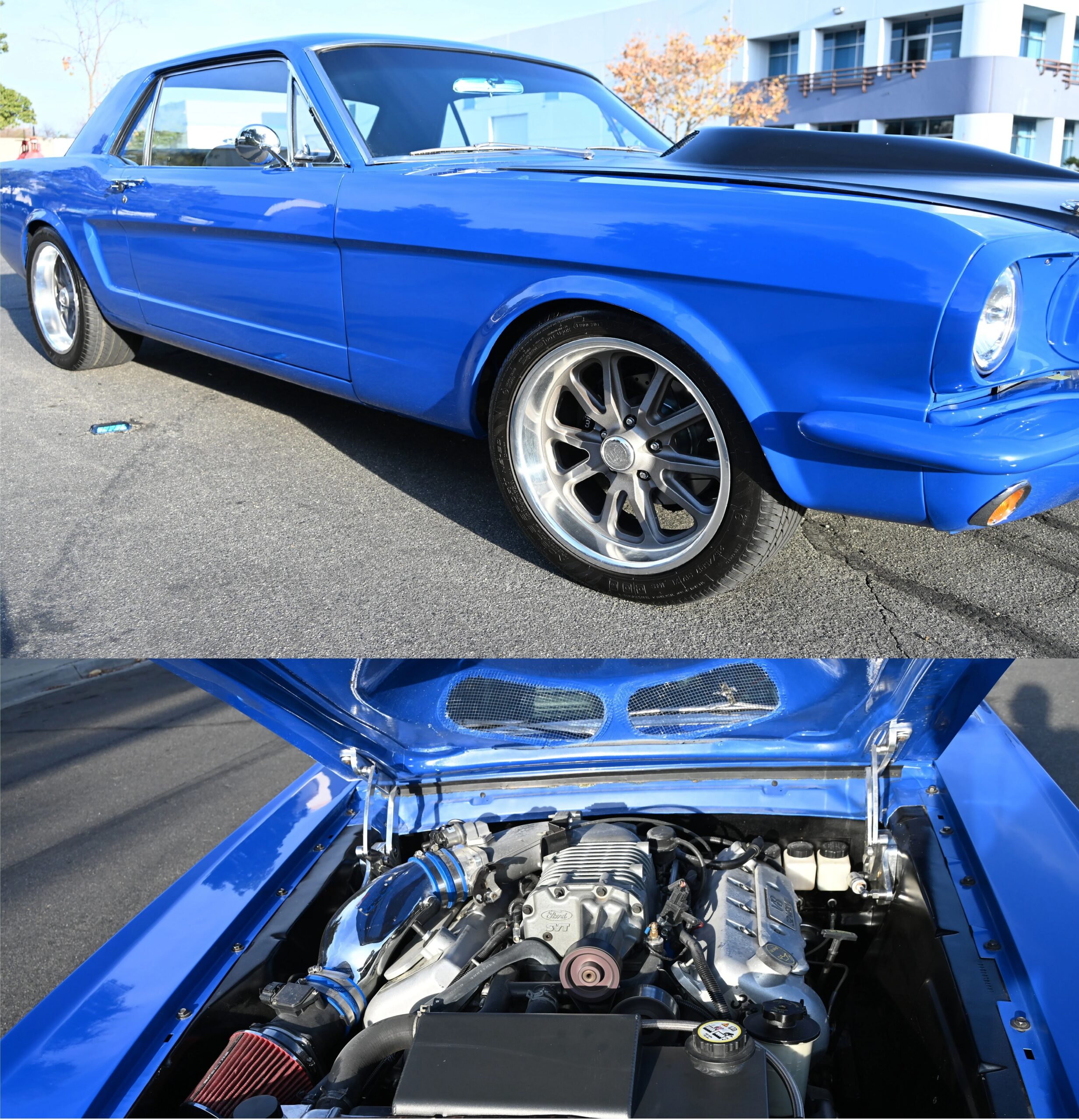 Ford-Mustang-cobra-coupe-1966-Blue-Black