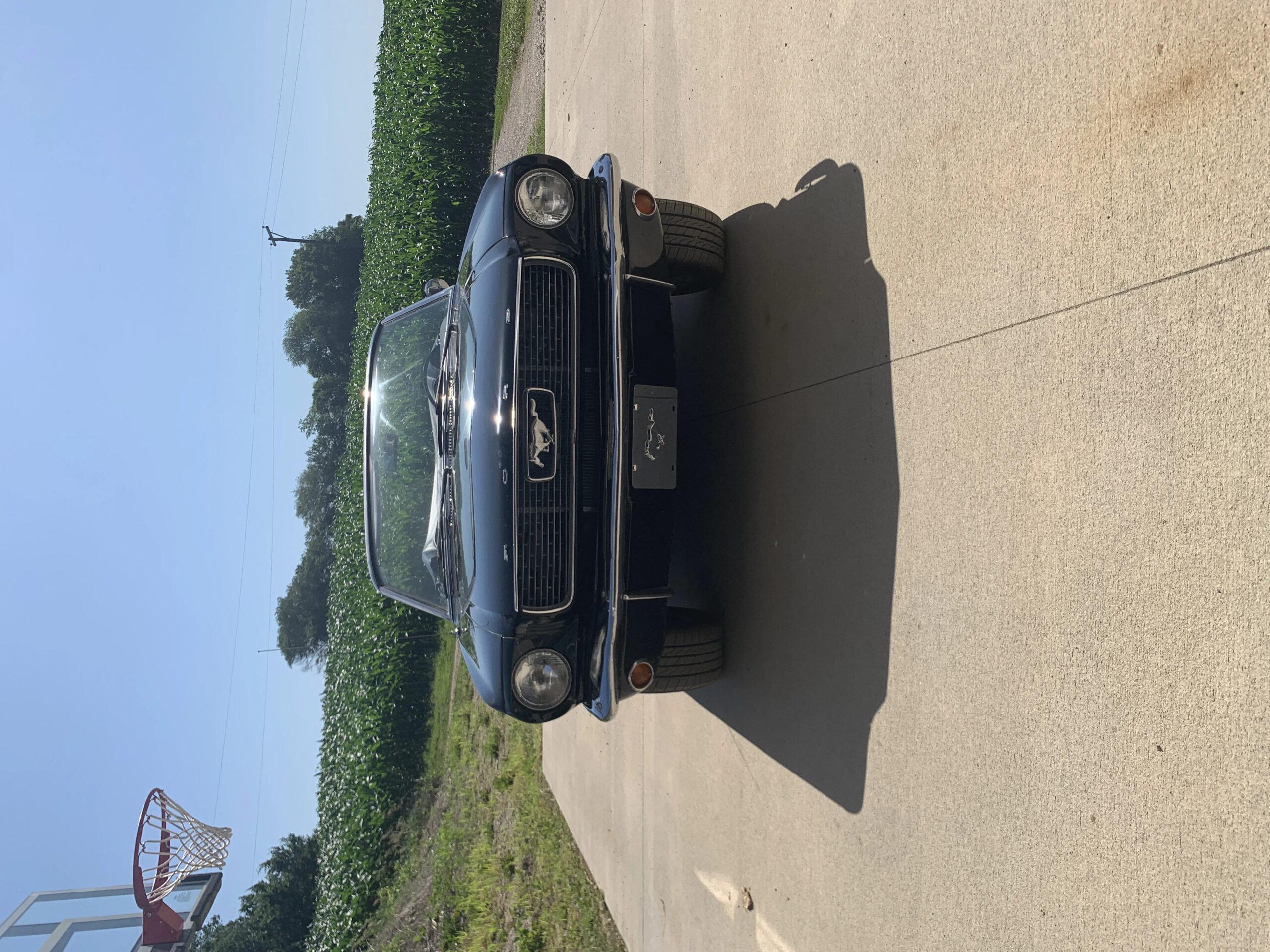 Ford-Mustang-convertible-1966-Black-Black-6