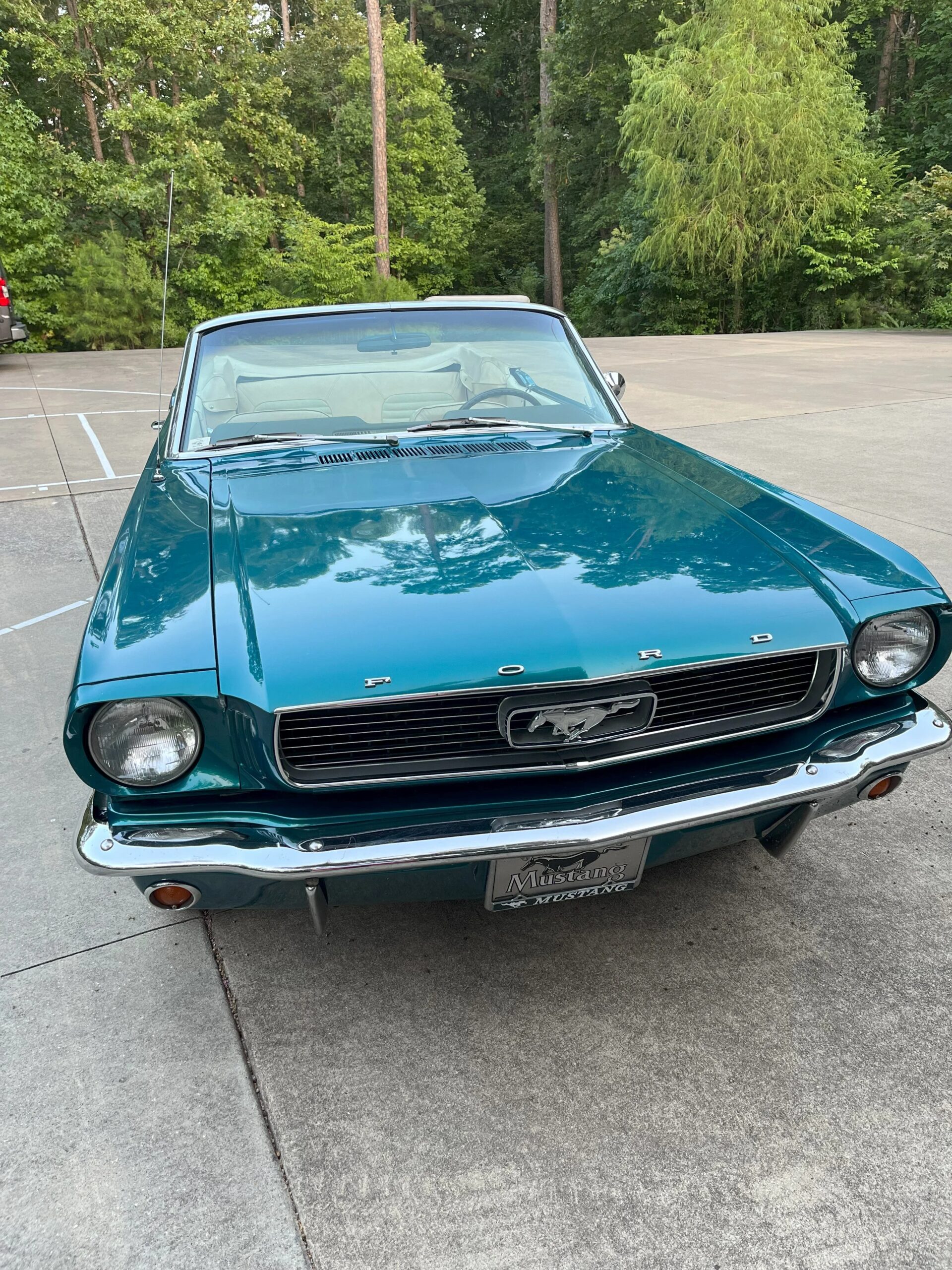 Ford-Mustang-convertible-1966-Green-Beige-3