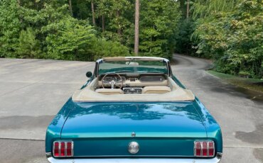 Ford-Mustang-convertible-1966-Green-Beige-6