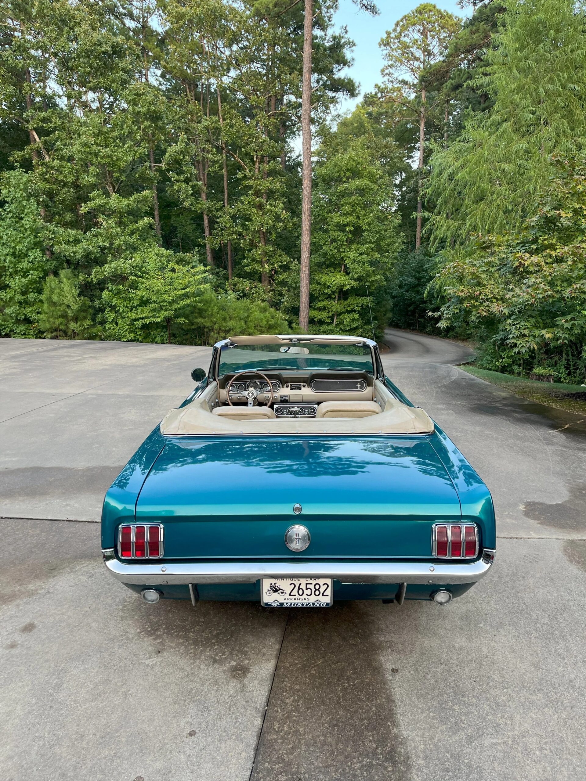 Ford-Mustang-convertible-1966-Green-Beige-6