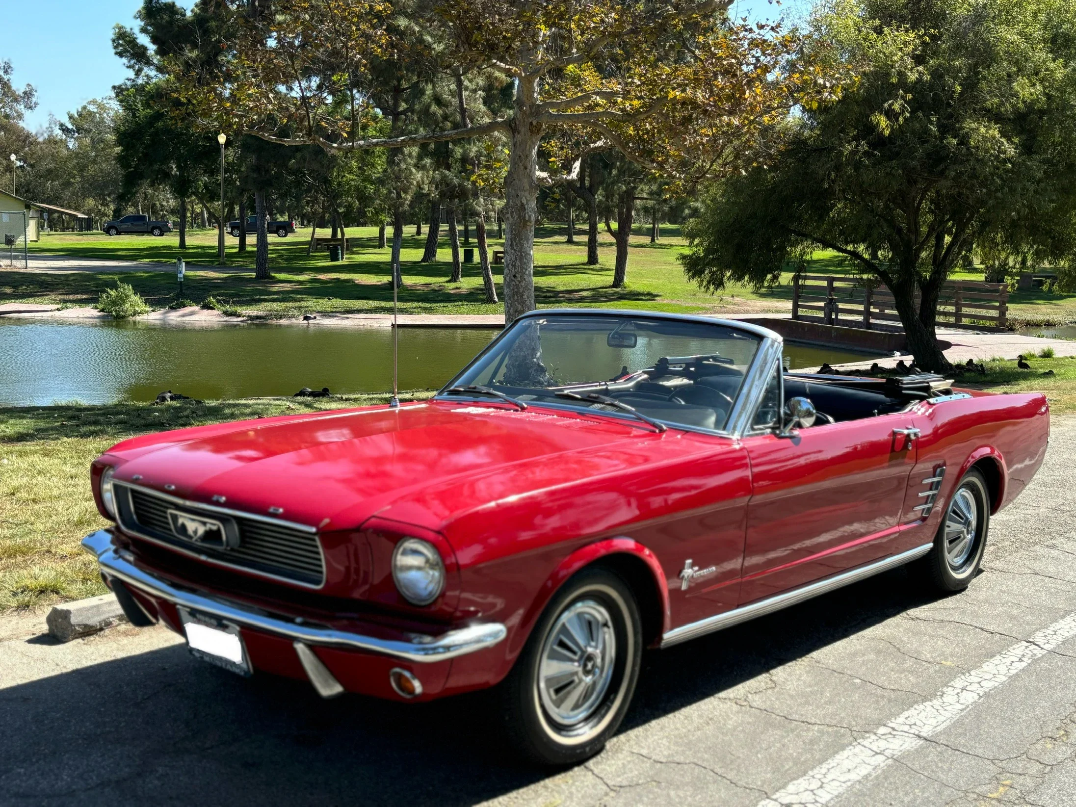 Ford-Mustang-convertible-1966-Red-Black-7