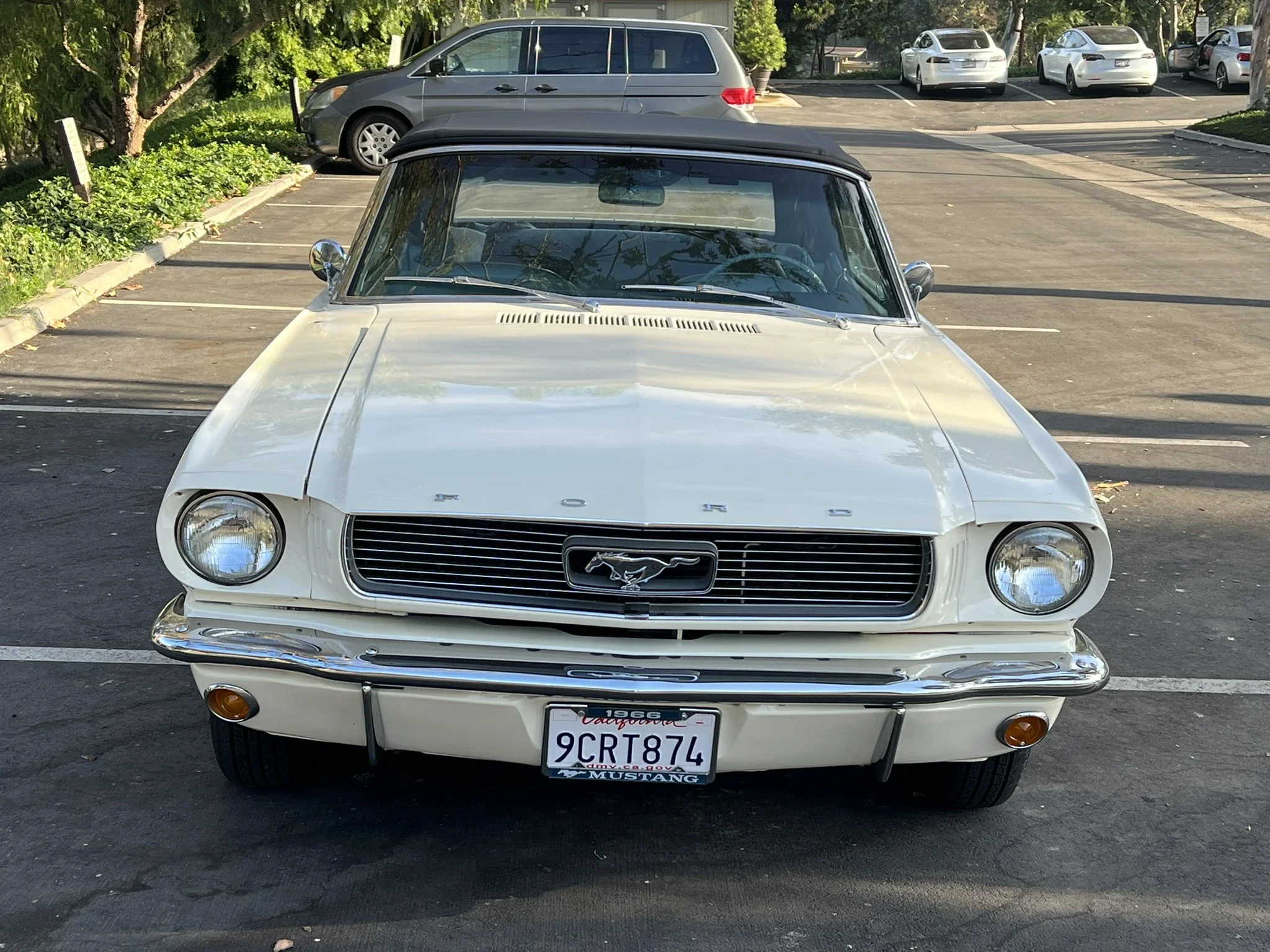 Ford-Mustang-convertible-1966-White-Turquoise-12