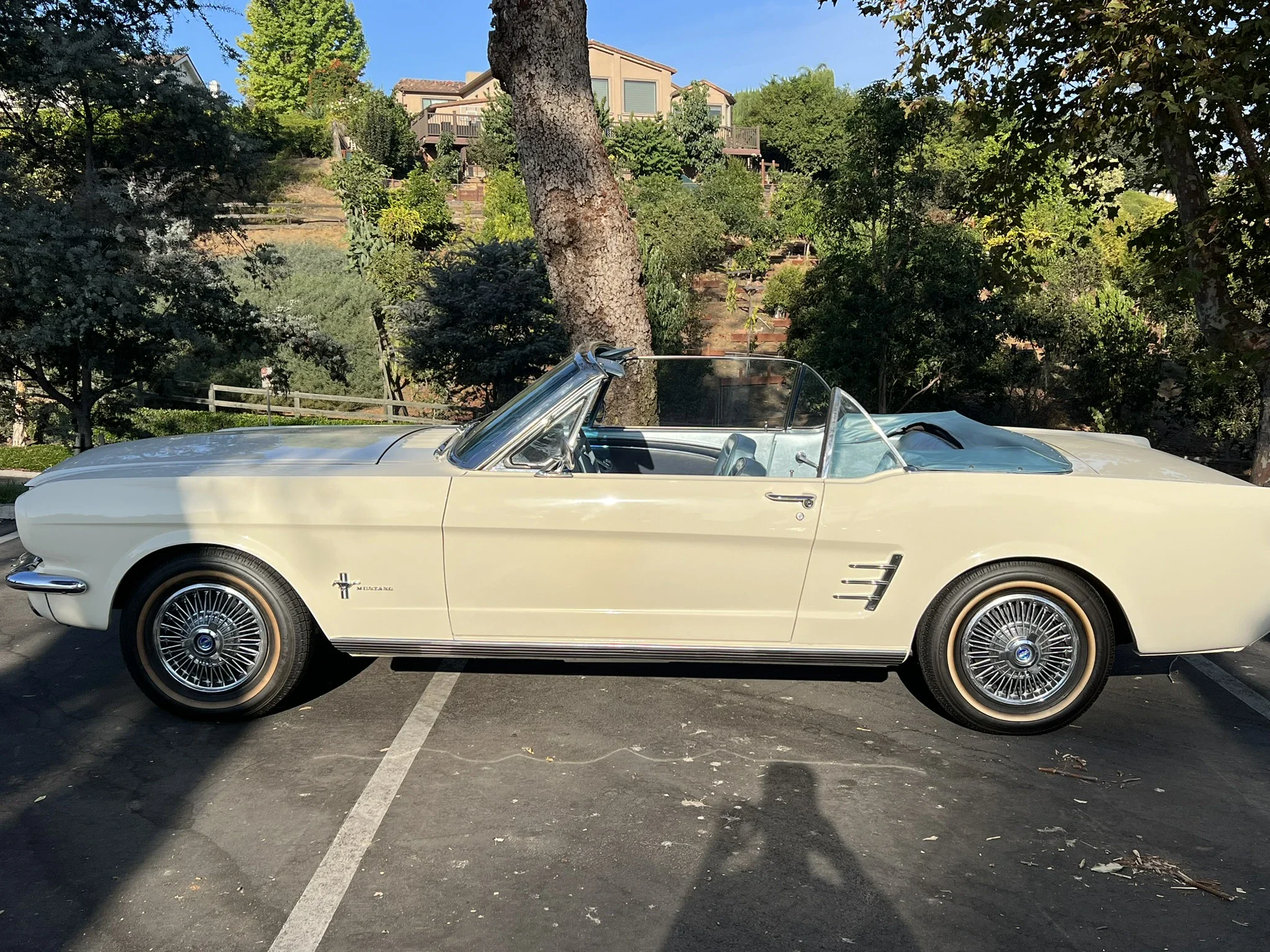 Ford-Mustang-convertible-1966-White-Turquoise-17