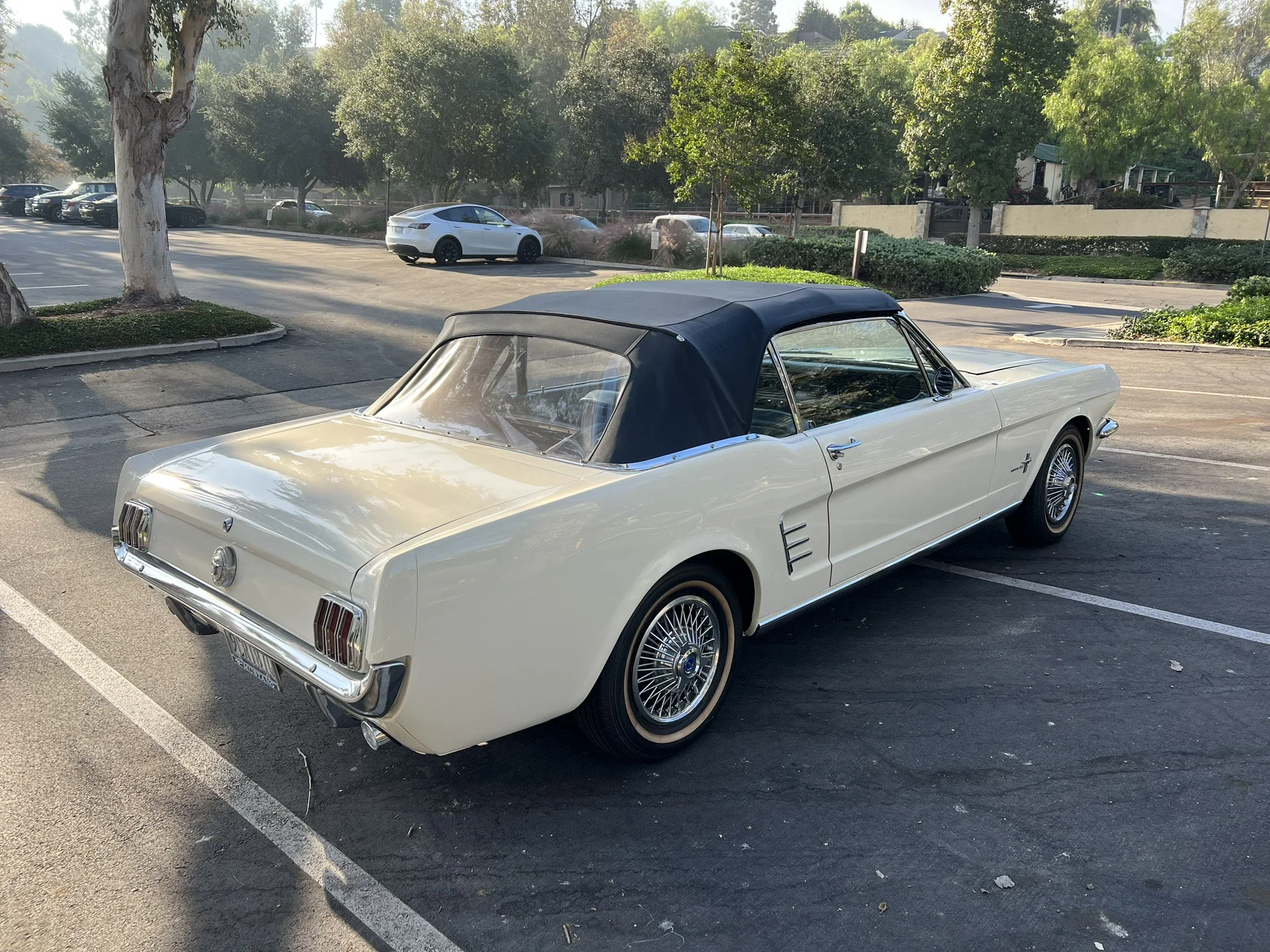 Ford-Mustang-convertible-1966-White-Turquoise-22