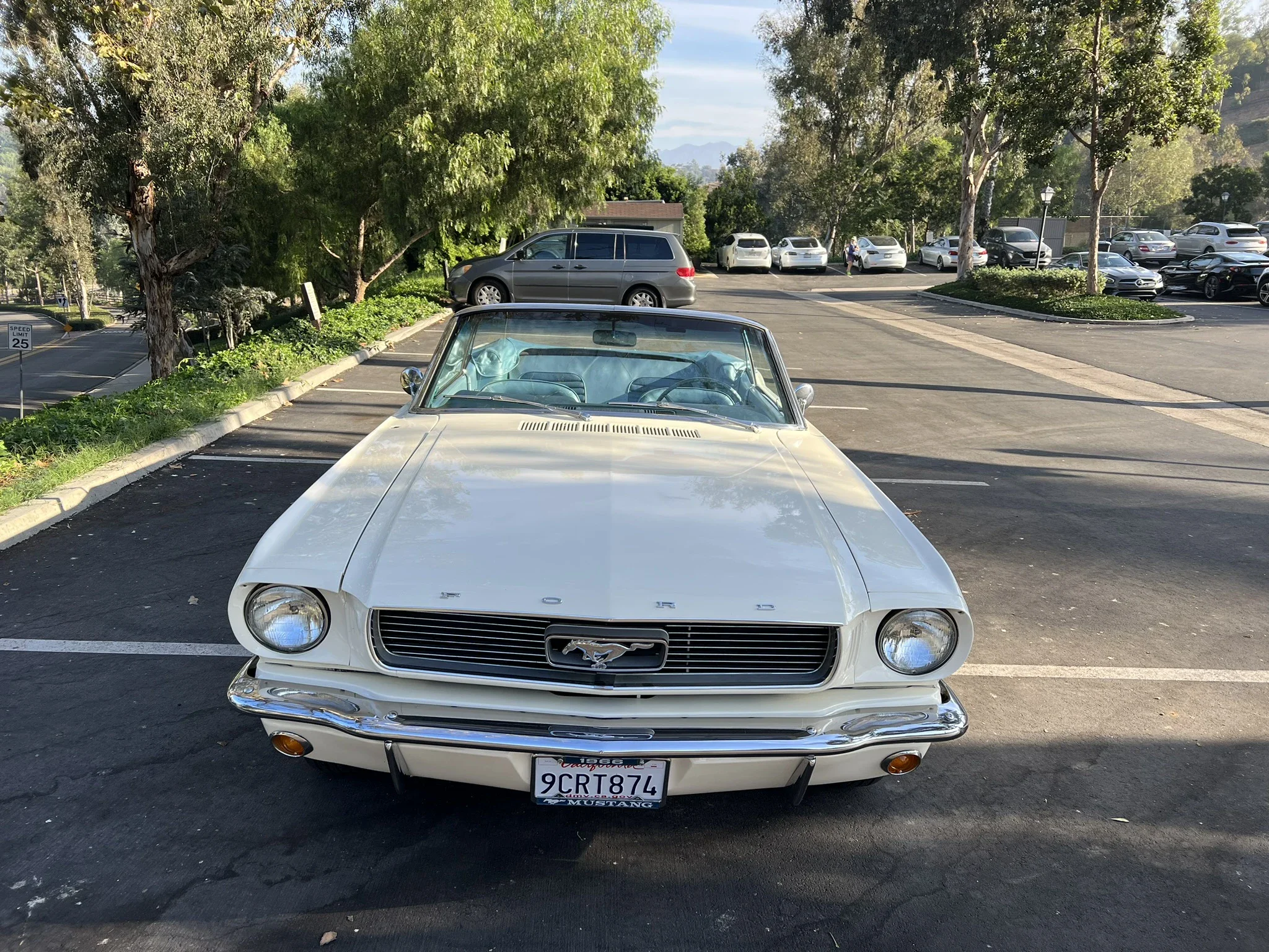 Ford-Mustang-convertible-1966-White-Turquoise-7