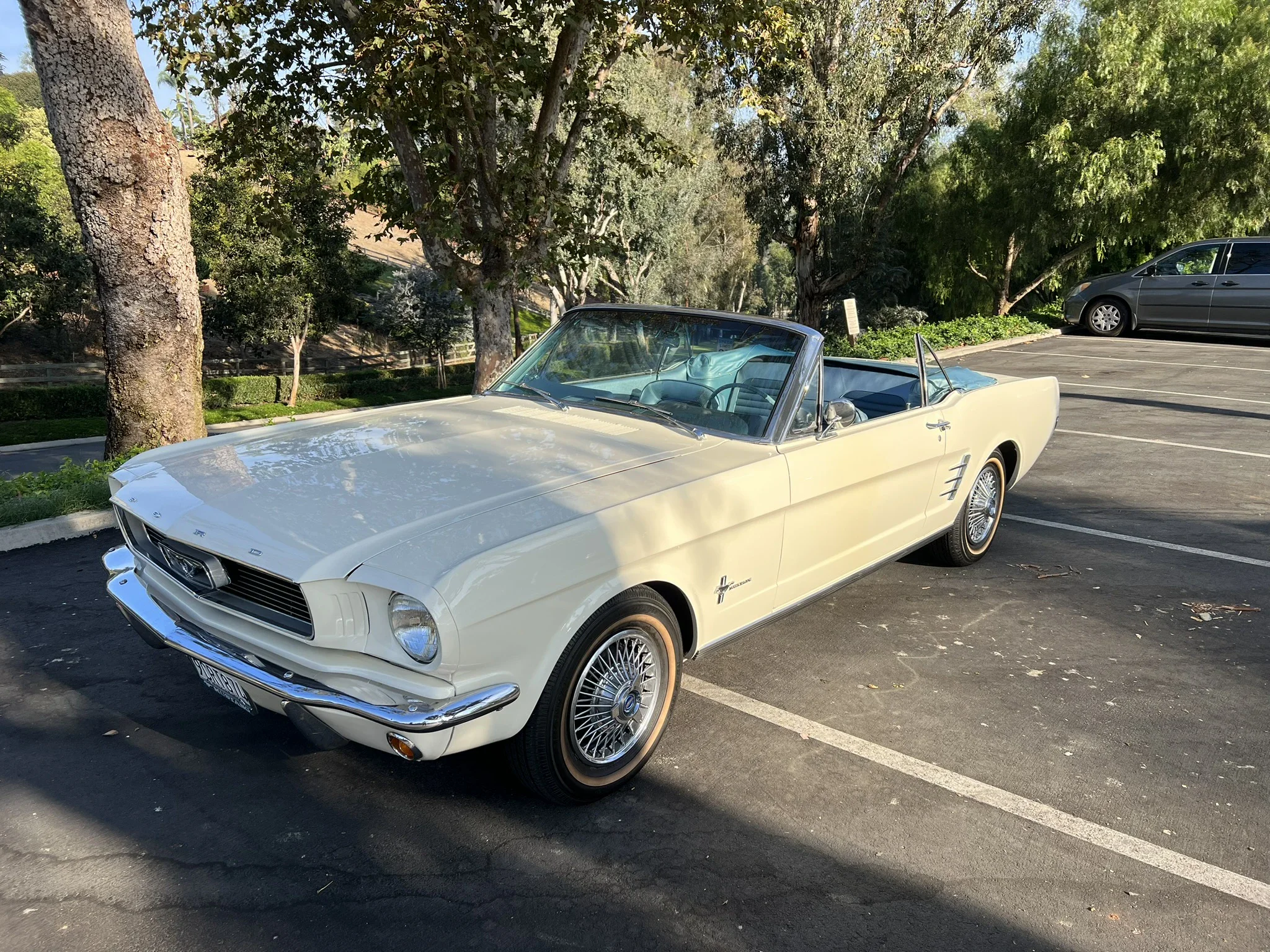 Ford-Mustang-convertible-1966-White-Turquoise-8