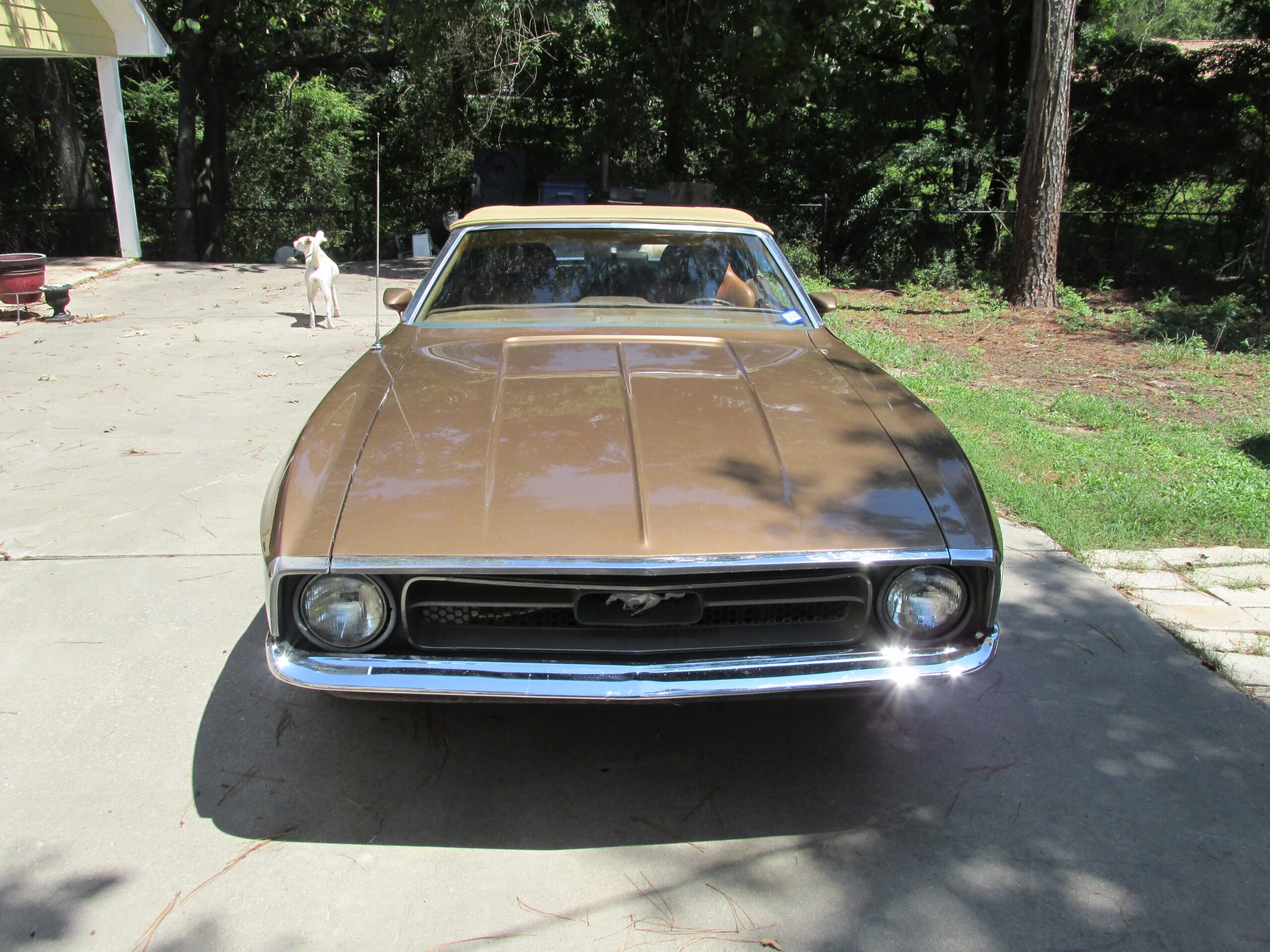 Ford-Mustang-convertible-1972-Gold-Tan-3