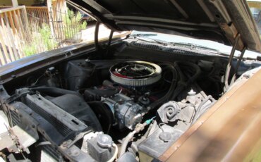 Ford-Mustang-convertible-1972-Gold-Tan-5