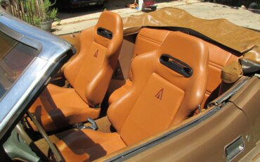 Ford-Mustang-convertible-1972-Gold-Tan-6