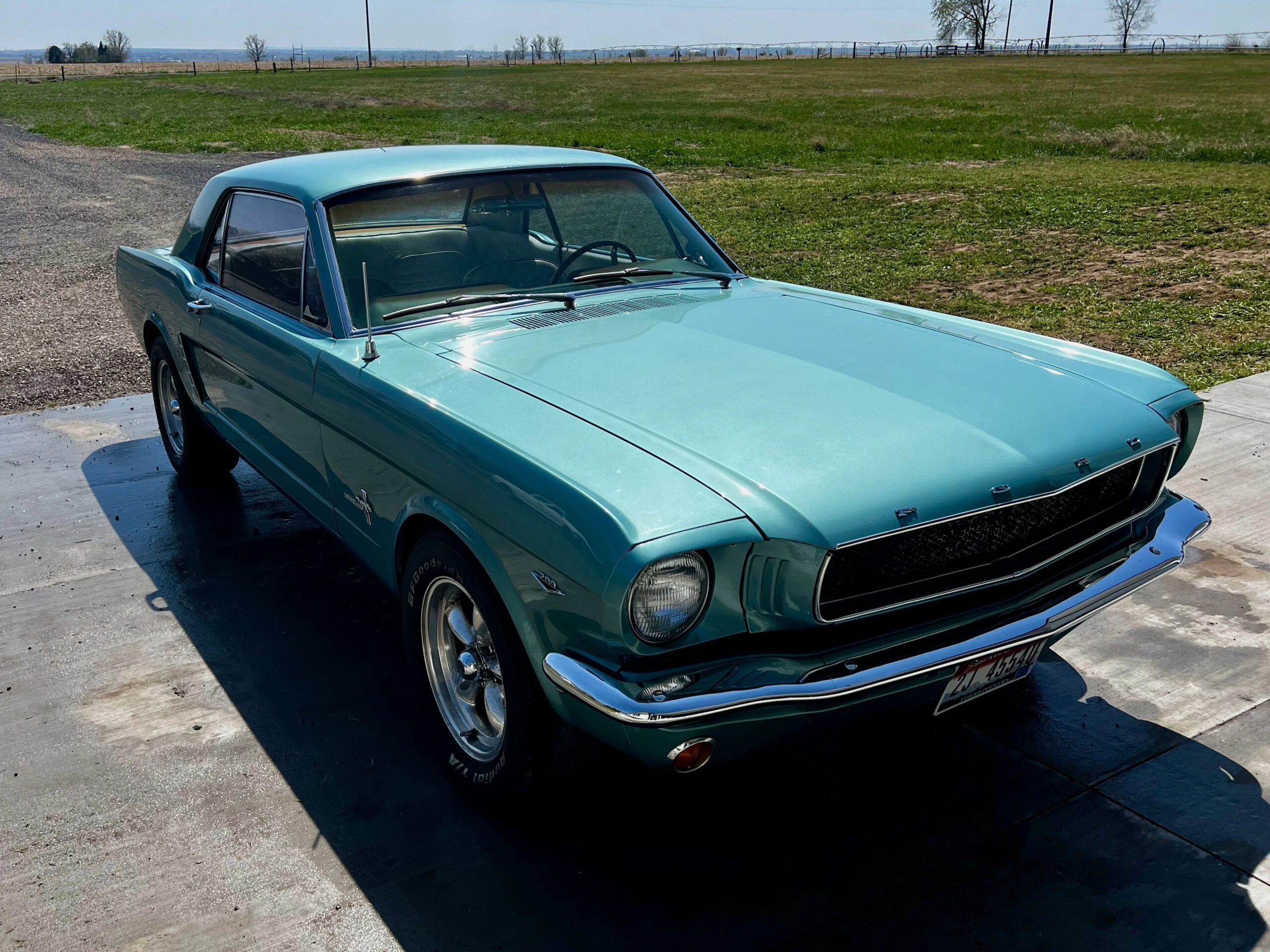 Ford-Mustang-coupe-1965-Turquoise-White-1