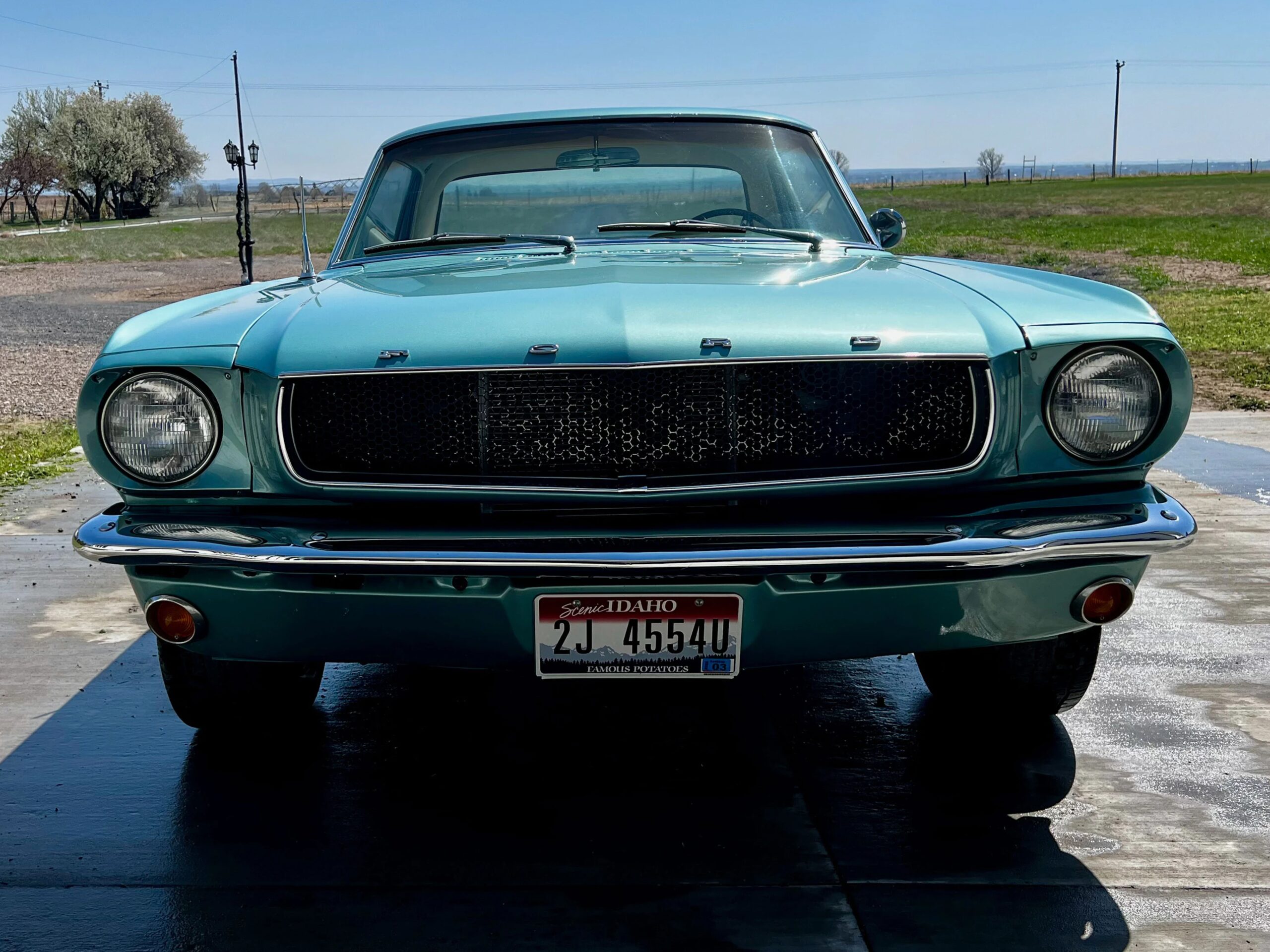 Ford-Mustang-coupe-1965-Turquoise-White-23