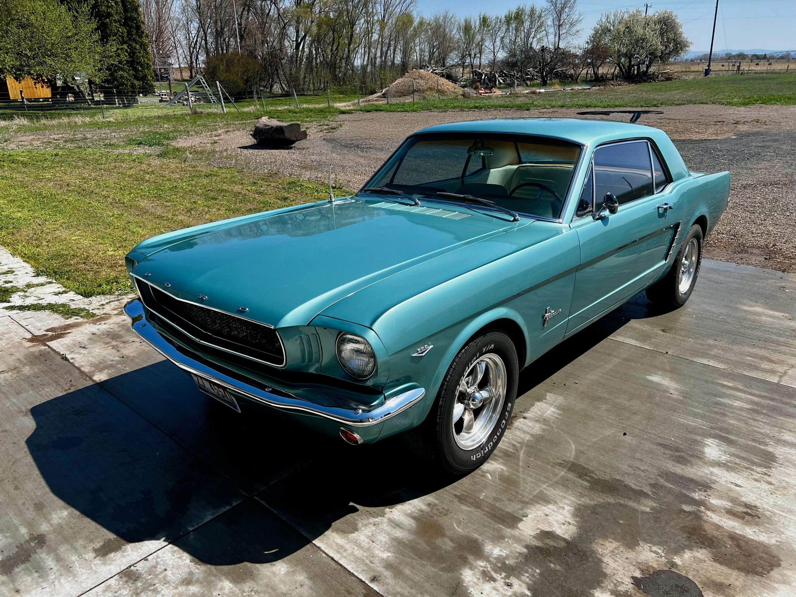Ford-Mustang-coupe-1965-Turquoise-White-6