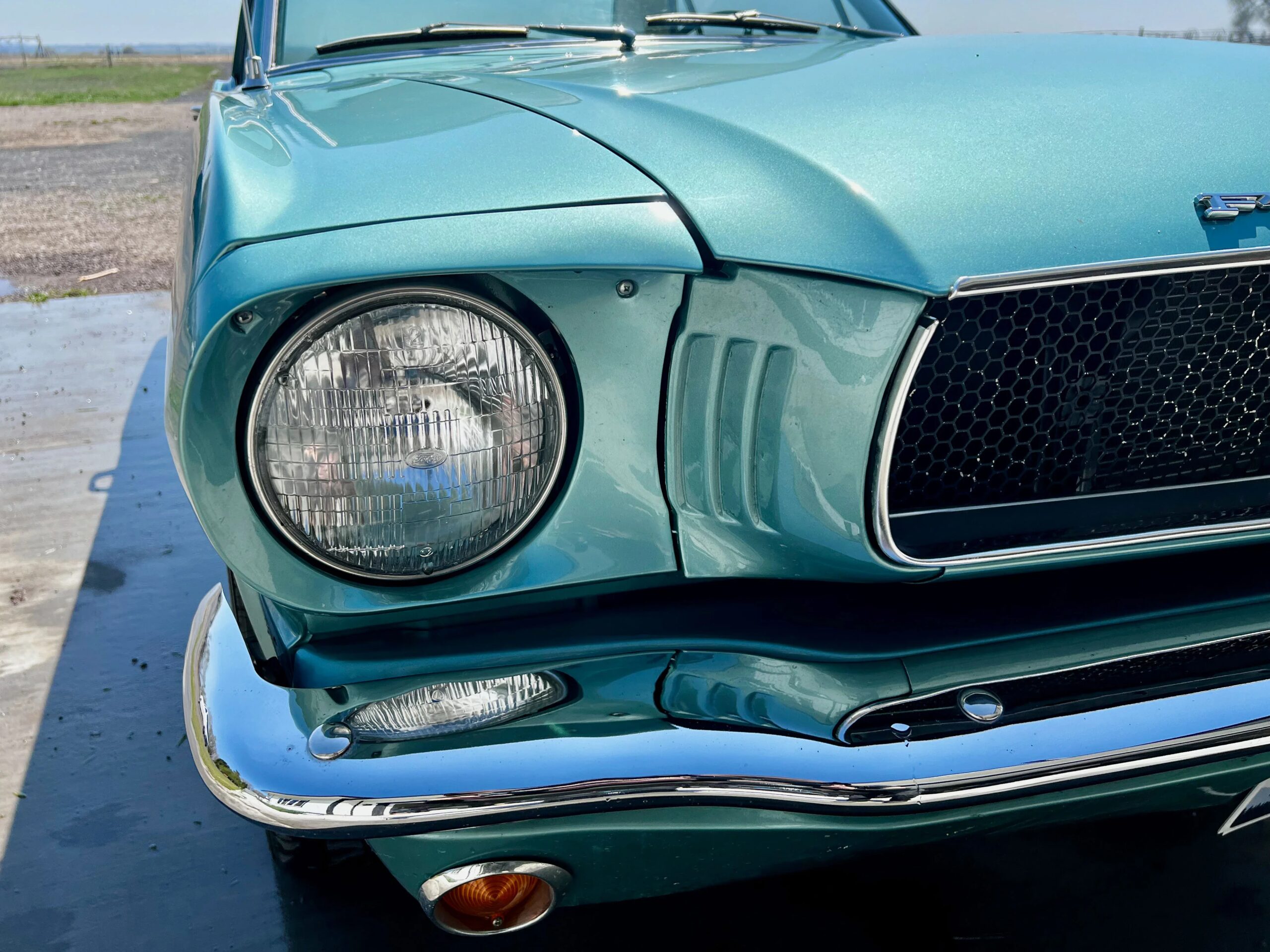 Ford-Mustang-coupe-1965-Turquoise-White