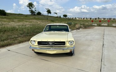 Ford-Mustang-coupe-1965-Yellow-Black-1