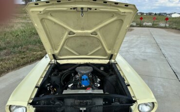 Ford-Mustang-coupe-1965-Yellow-Black-3