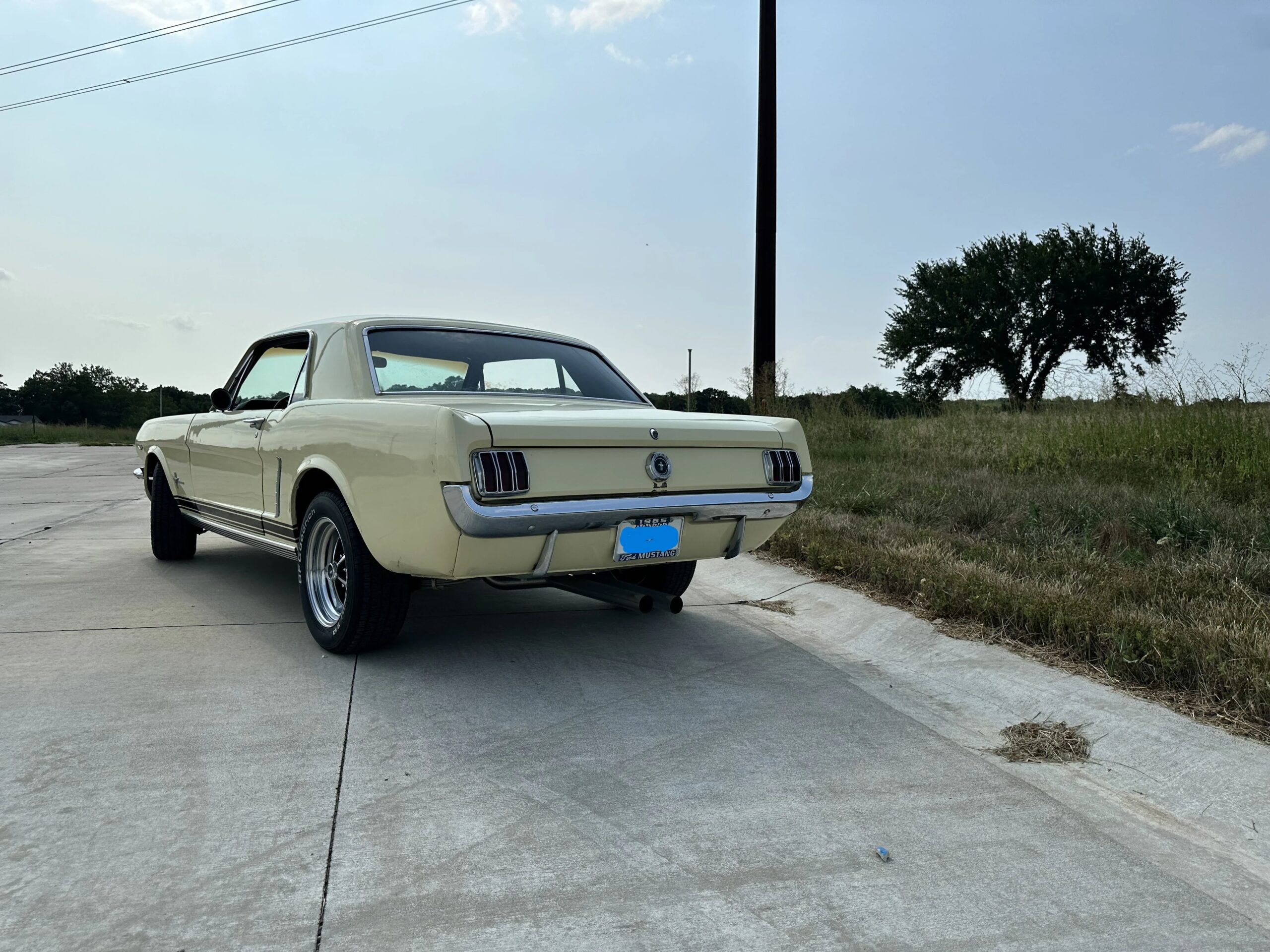 Ford-Mustang-coupe-1965-Yellow-Black-7