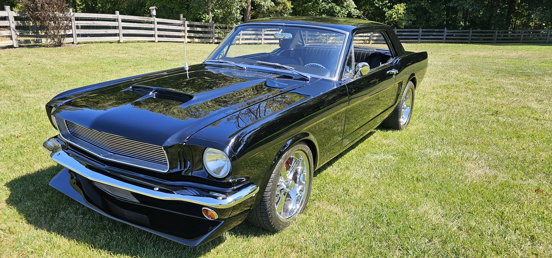 Ford-Mustang-coupe-1966-Black-Black-11