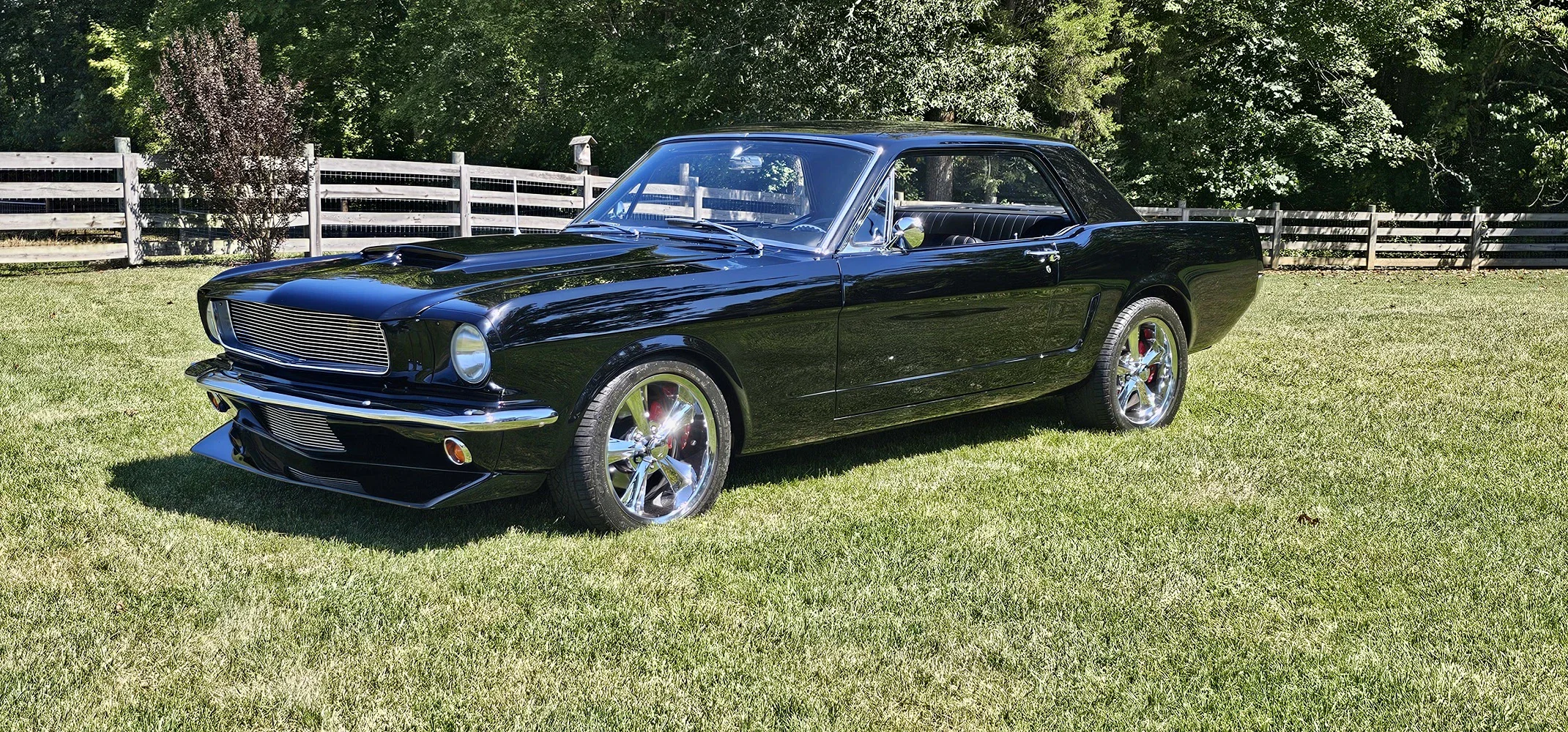 Ford-Mustang-coupe-1966-Black-Black-16