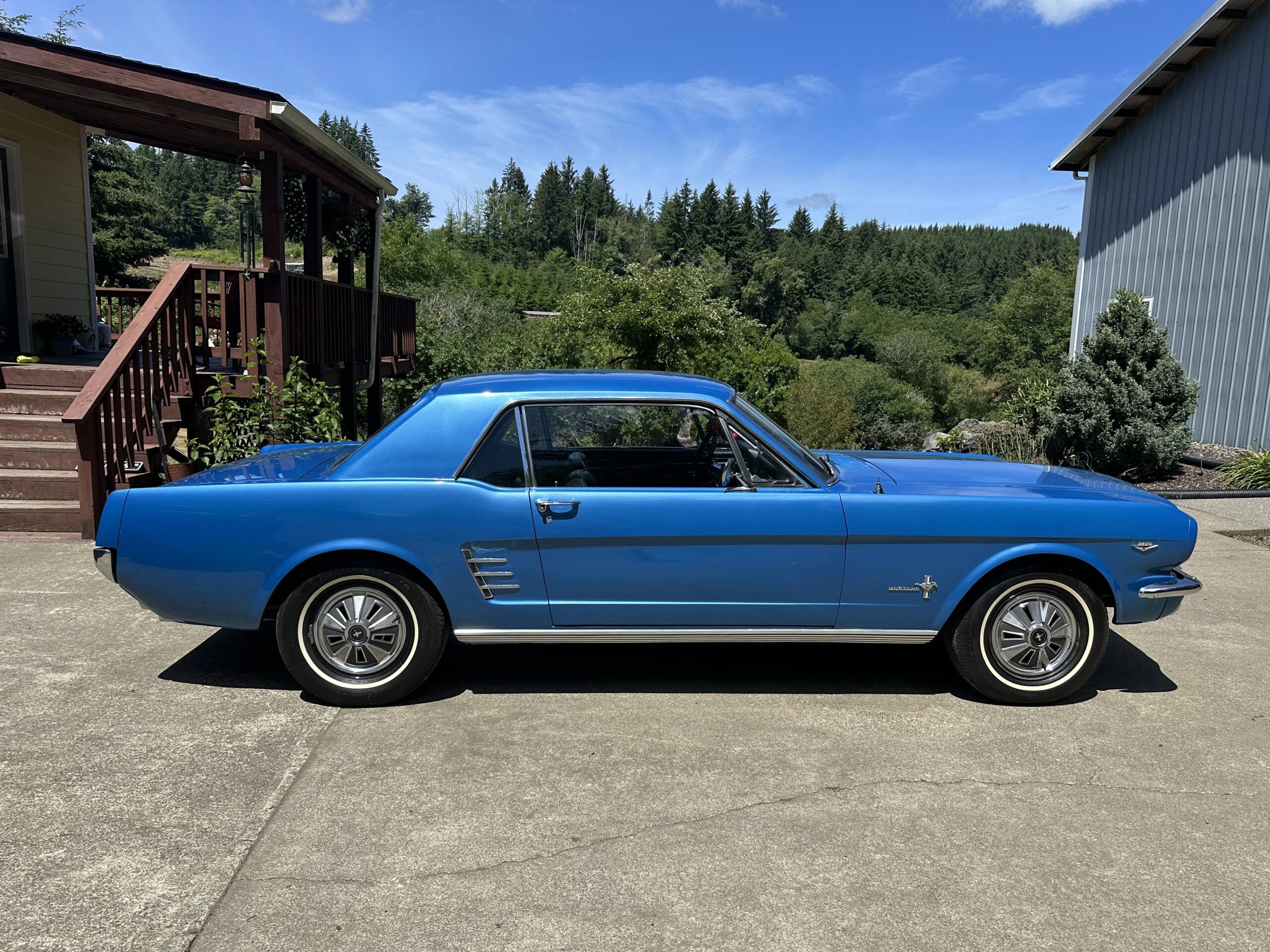 Ford-Mustang-coupe-1966-Blue-Black-8