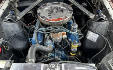 Ford-Mustang-coupe-1966-Burgundy-Black-7
