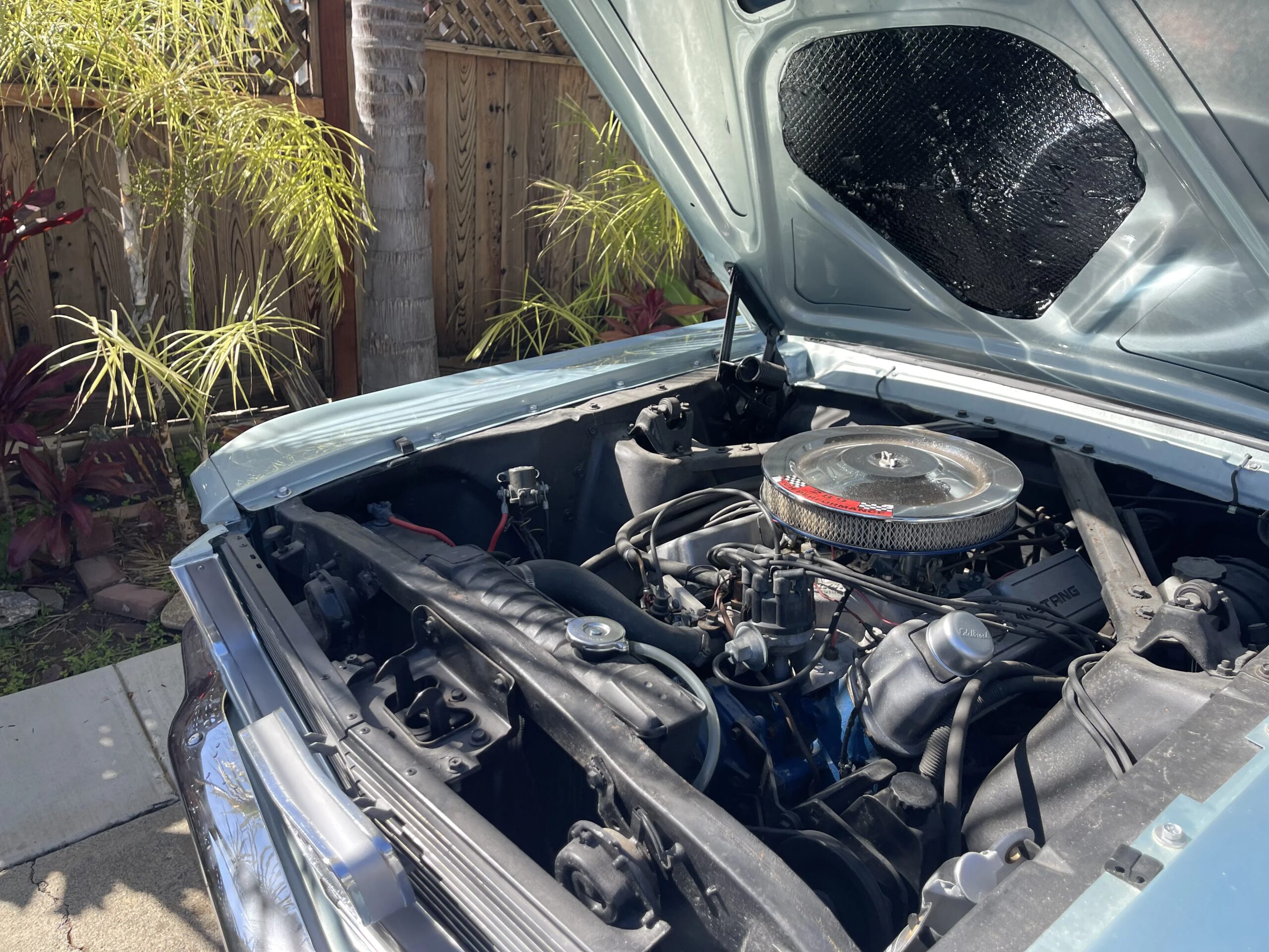 Ford-Mustang-coupe-1966-Green-Black-11