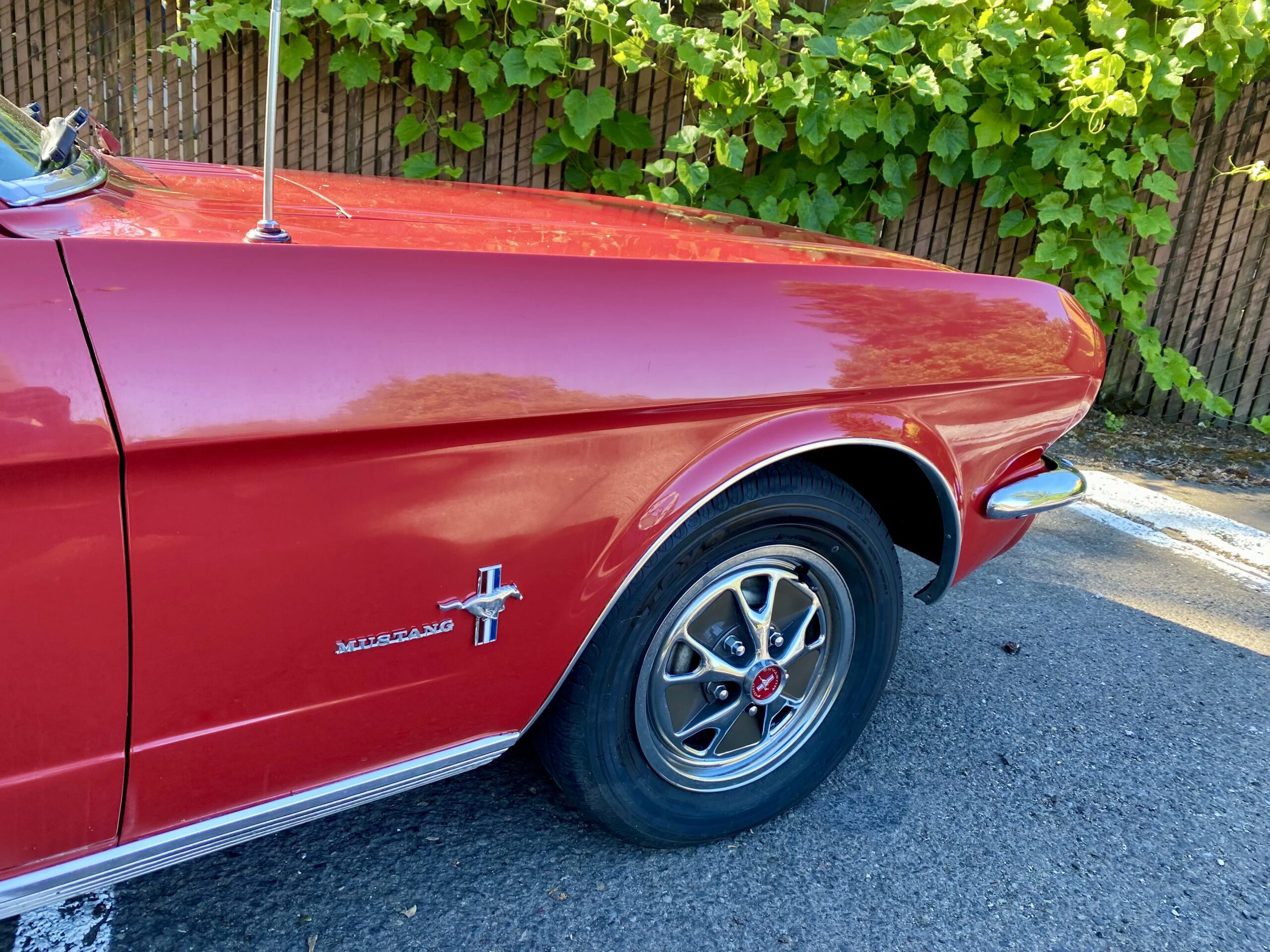 Ford-Mustang-coupe-1966-Red-Black-22