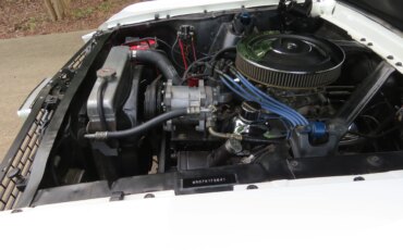 Ford-Mustang-coupe-1966-White-Black-36