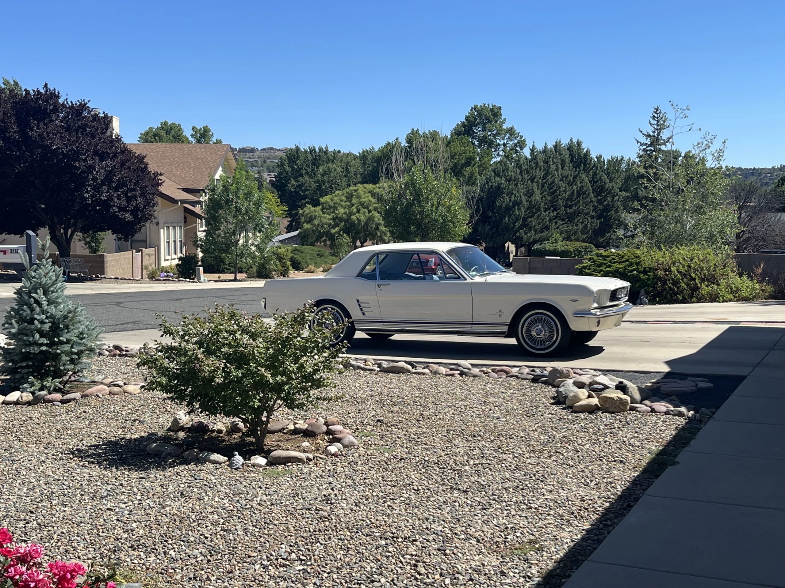 Ford-Mustang-coupe-1966-White-Blue-3