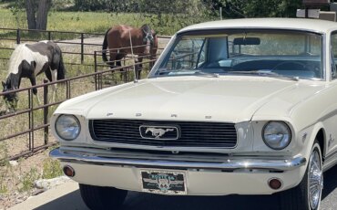 Ford-Mustang-coupe-1966-White-Blue-4