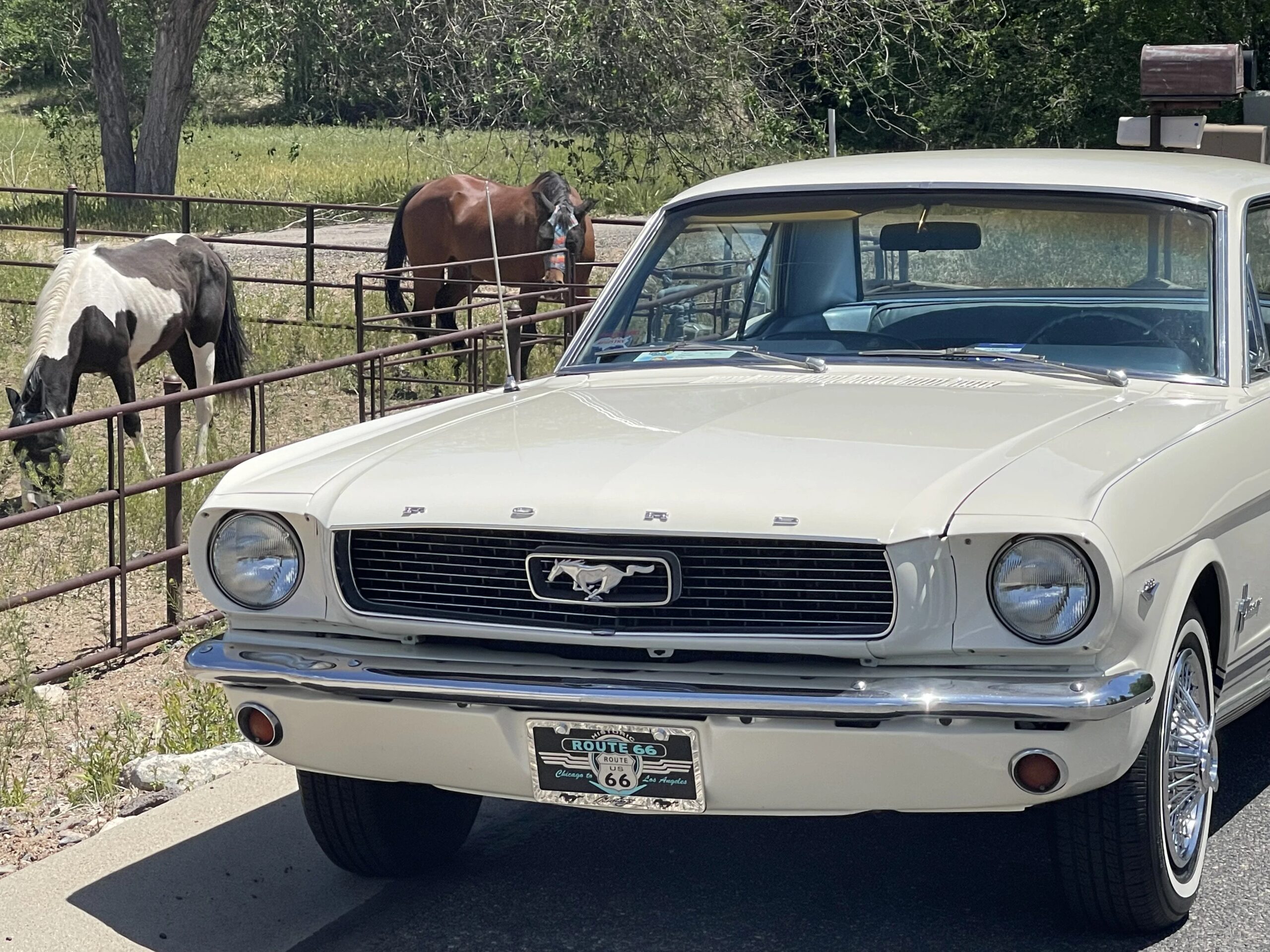 Ford-Mustang-coupe-1966-White-Blue-4