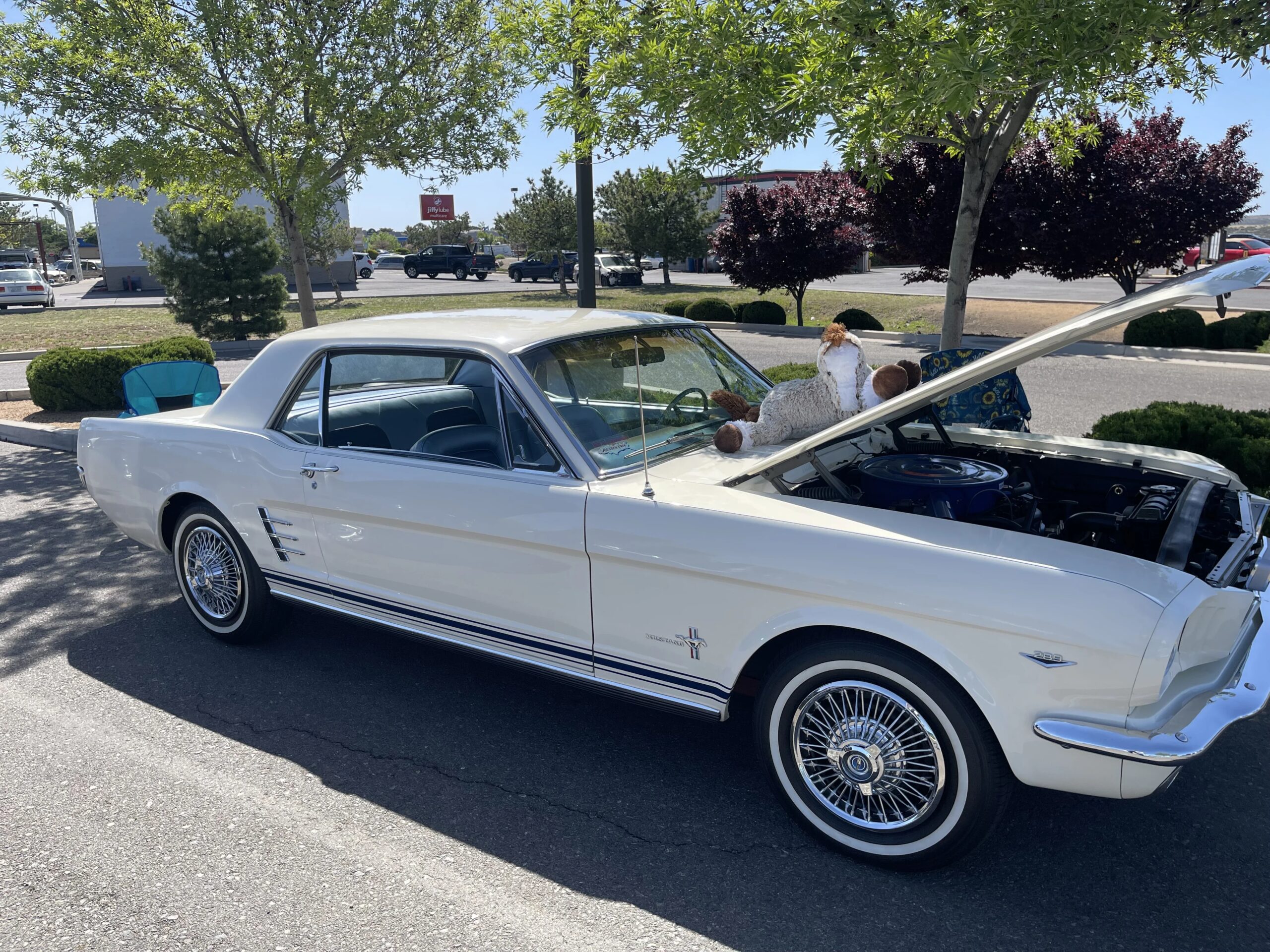 Ford-Mustang-coupe-1966-White-Blue-8