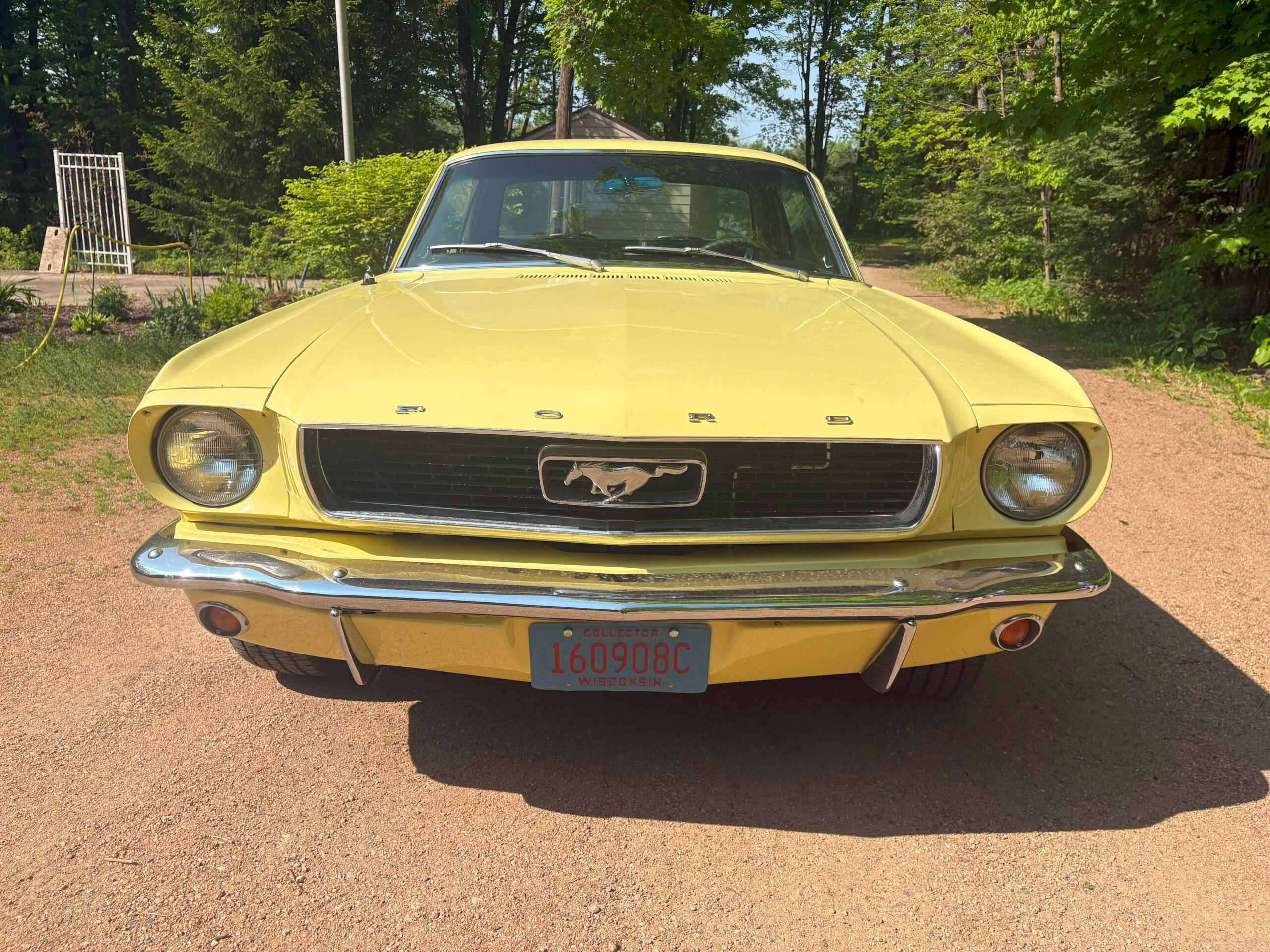 Ford-Mustang-coupe-1966-Yellow-Black-1