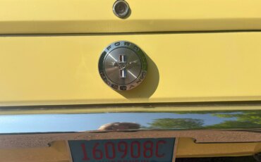 Ford-Mustang-coupe-1966-Yellow-Black-3