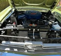Ford-Mustang-coupe-1967-Green-Green-4