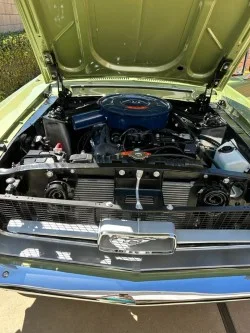 Ford-Mustang-coupe-1967-Green-Green-4