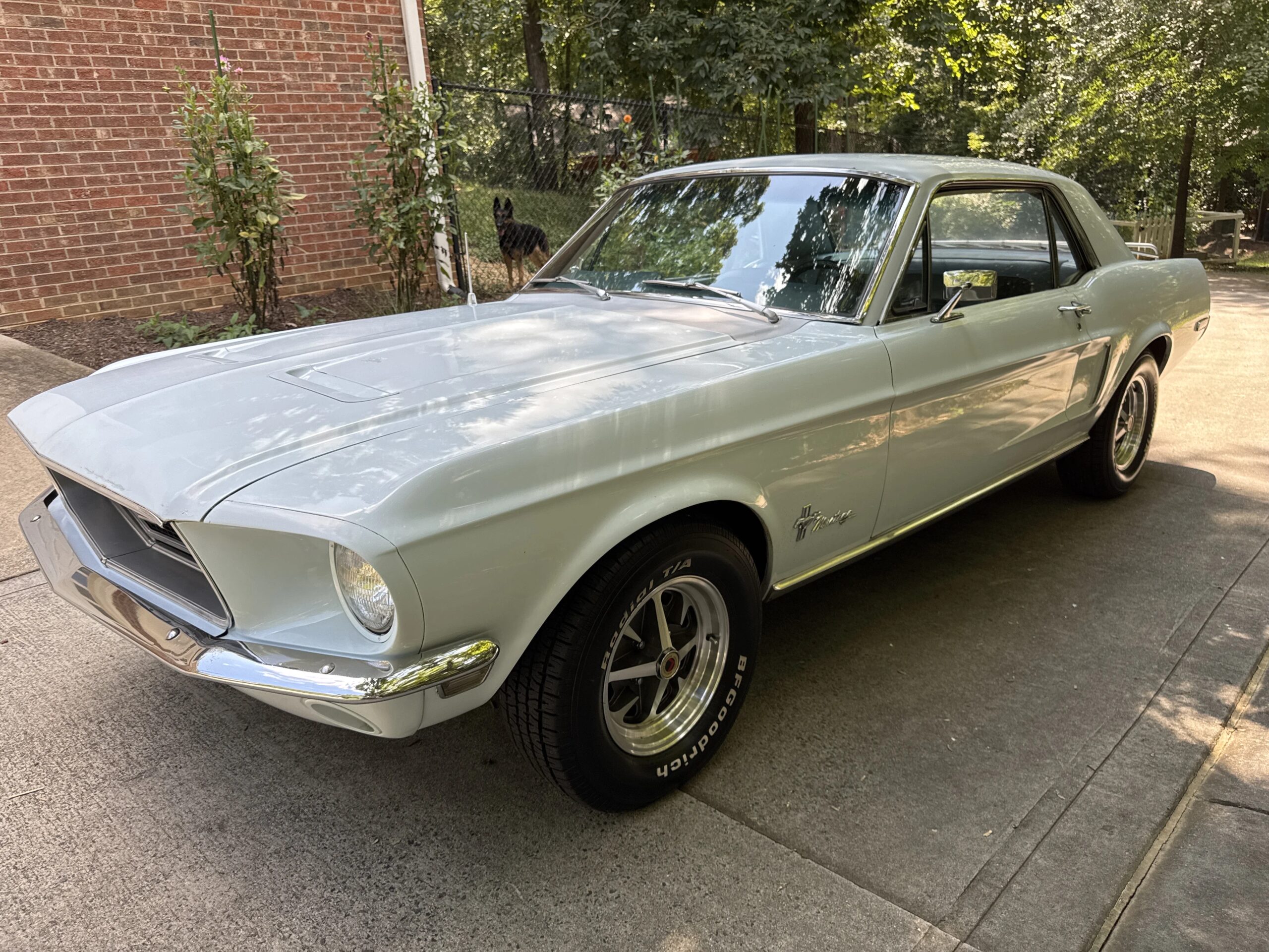 Ford-Mustang-coupe-1968-Blue-Blue-11