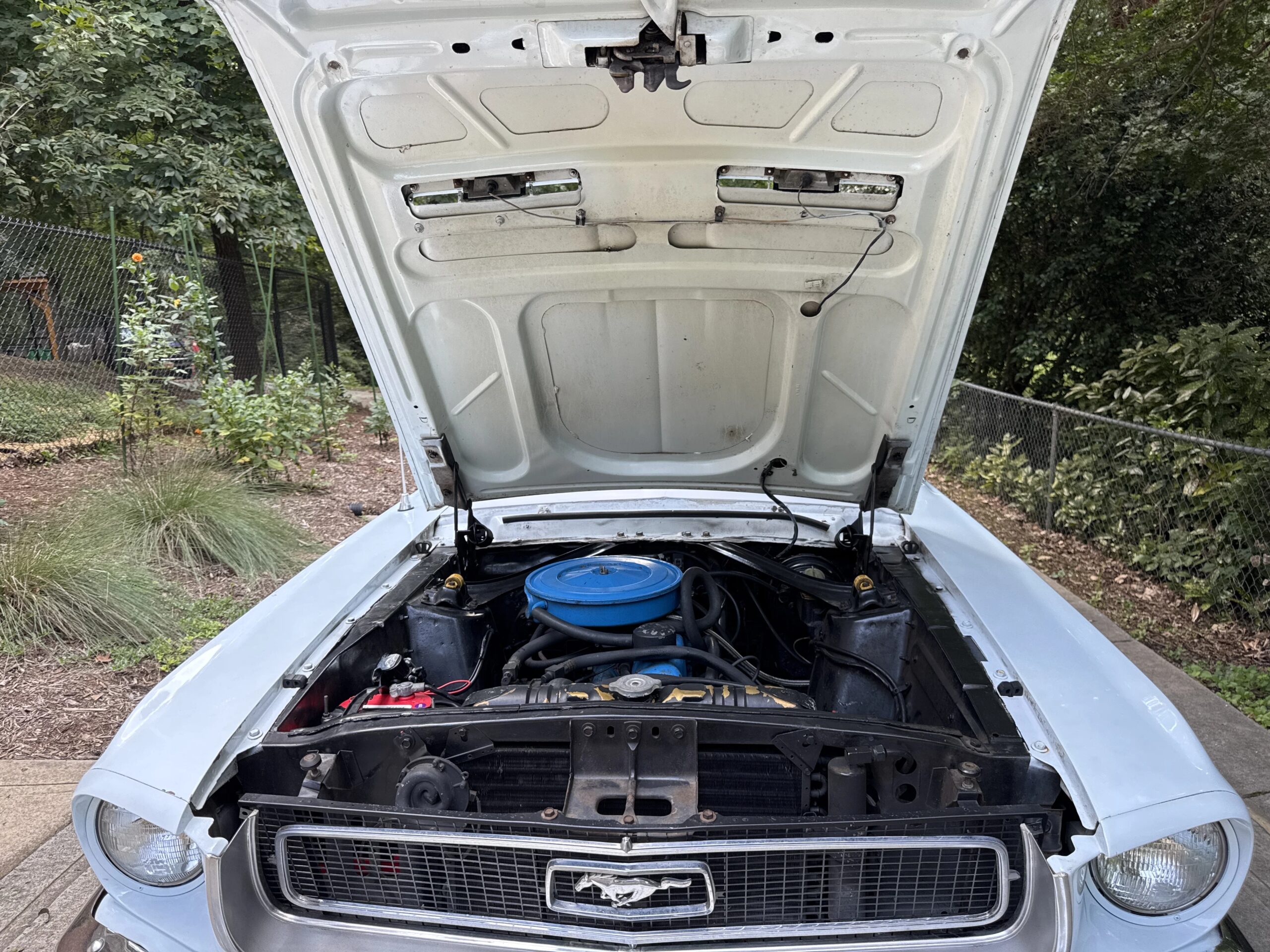 Ford-Mustang-coupe-1968-Blue-Blue-14